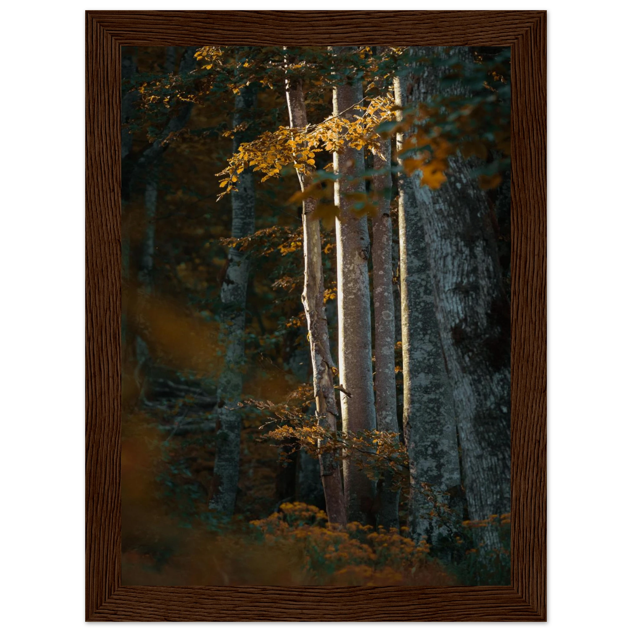 656ed63e-9a49-47ae-945a-9f95c9ed4832