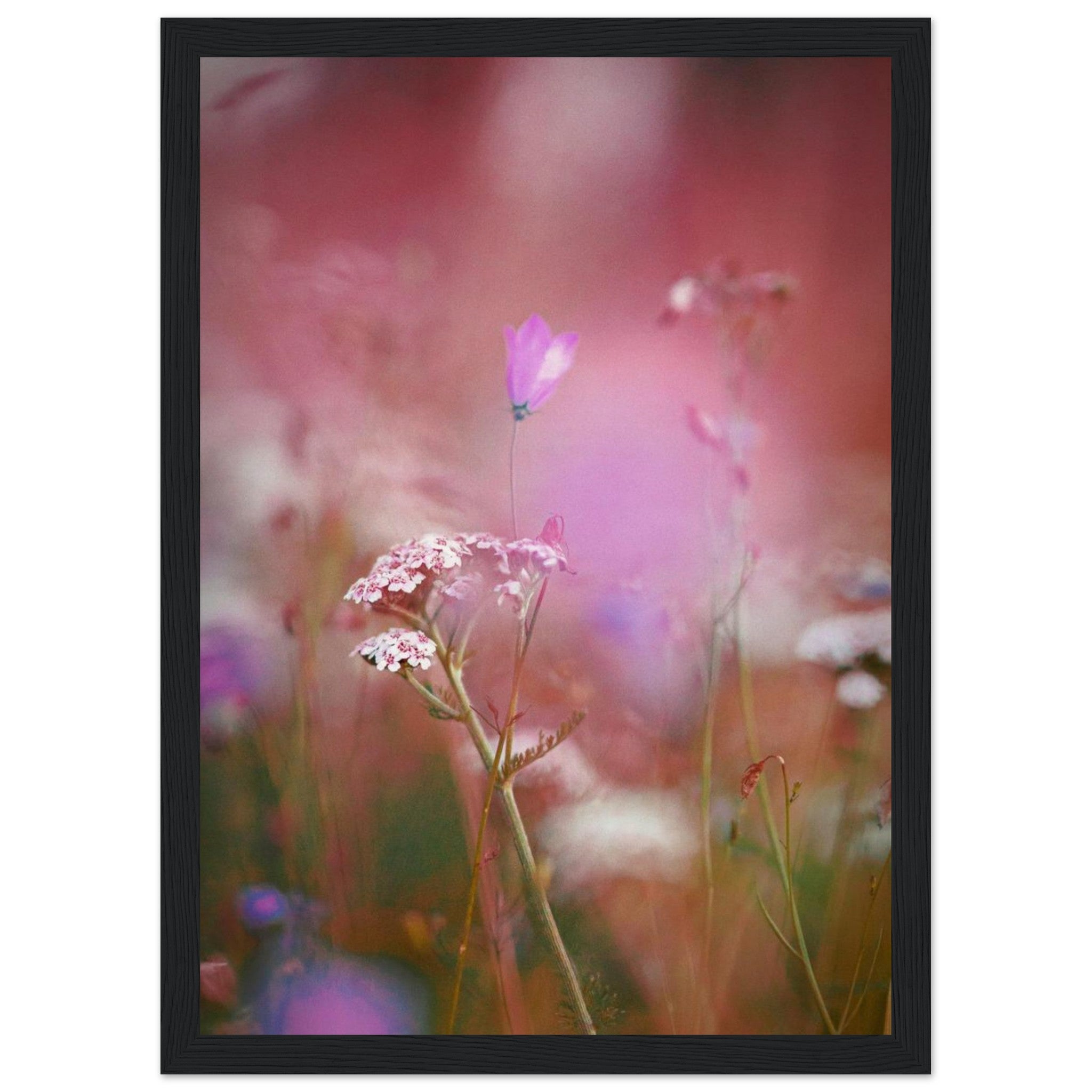 66d8a548-27dc-420c-aaee-ca47a74d97fa