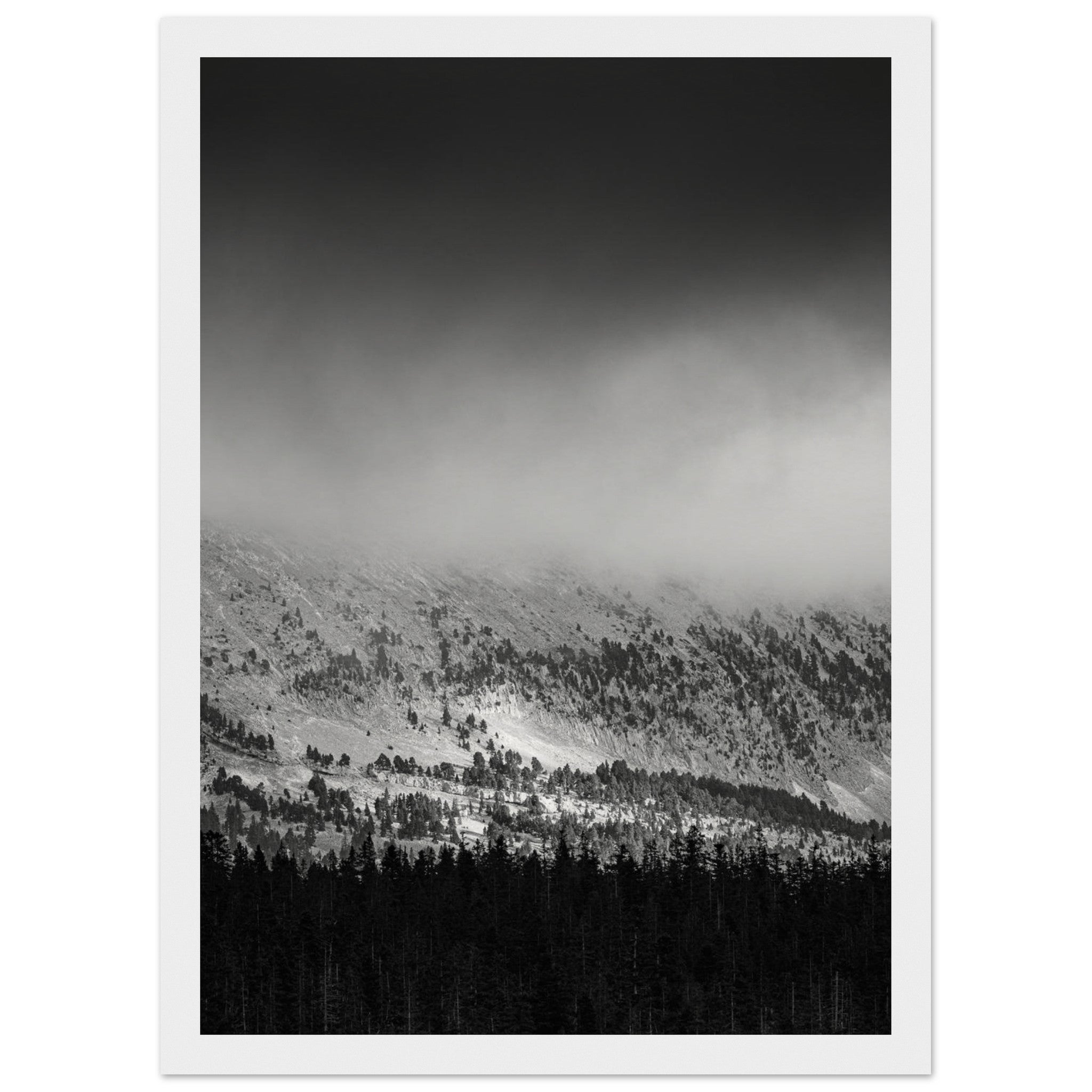 676c38f4-c6f2-4f27-98d8-f741cbc71c94