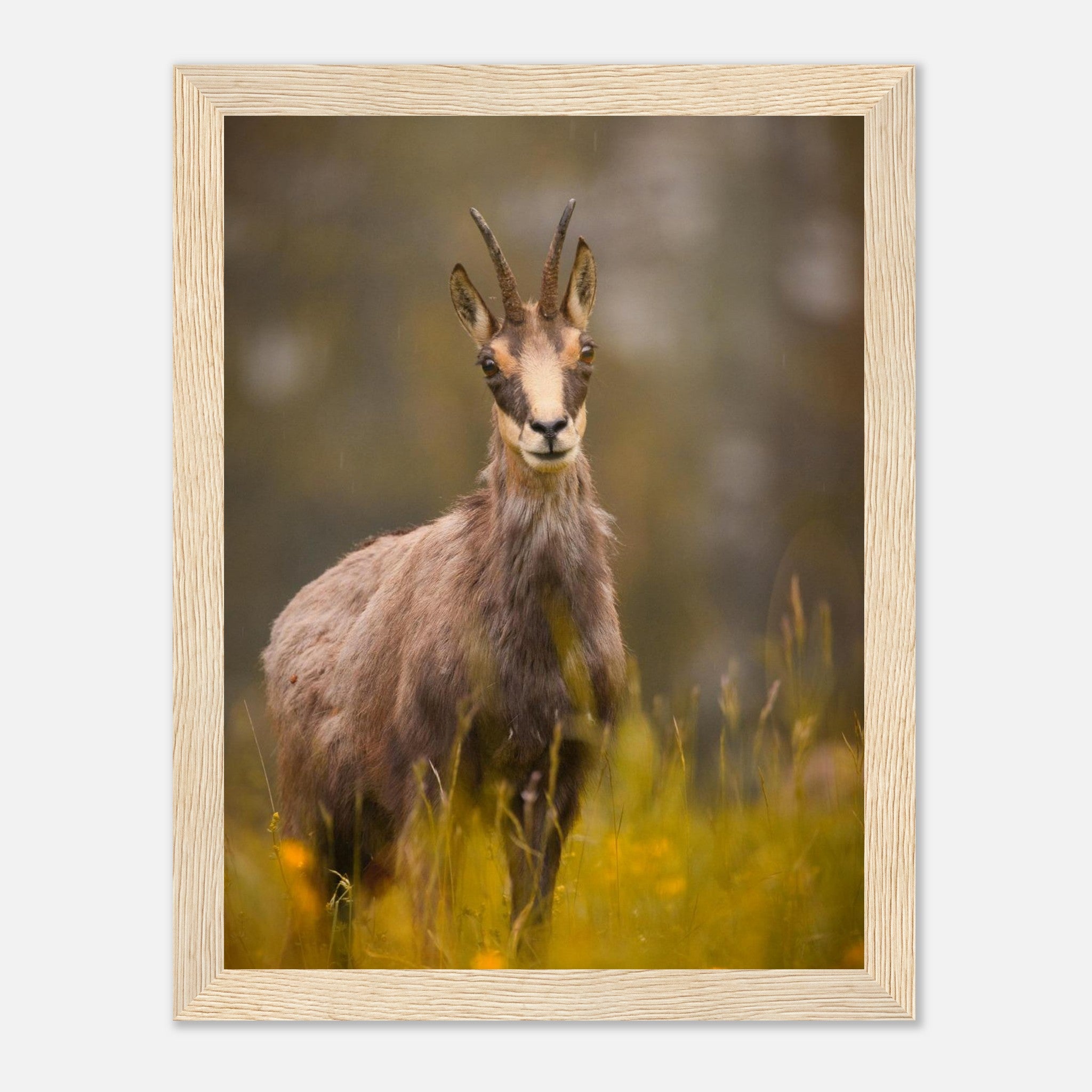 6947e4dd-c3bd-4945-912b-bc95c3293bad