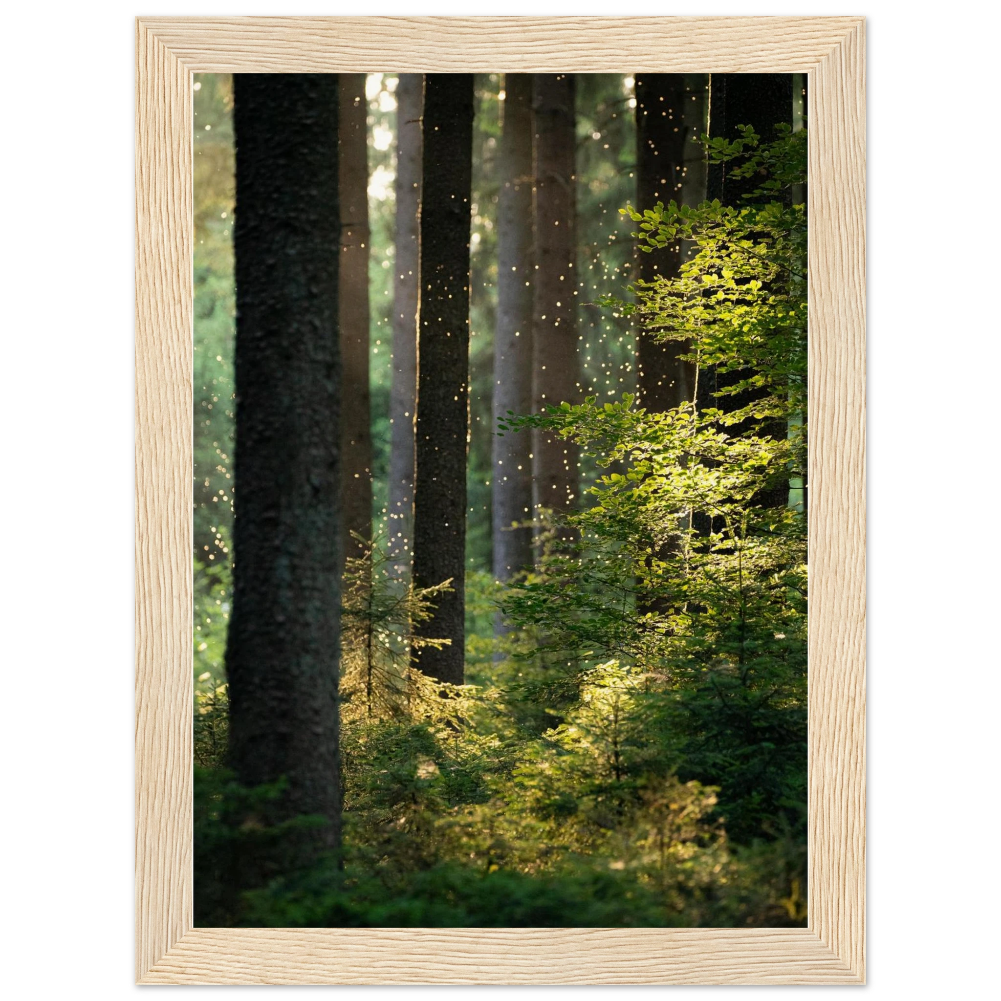 6951ff3e-469f-4889-be40-38dbe1eb70f6