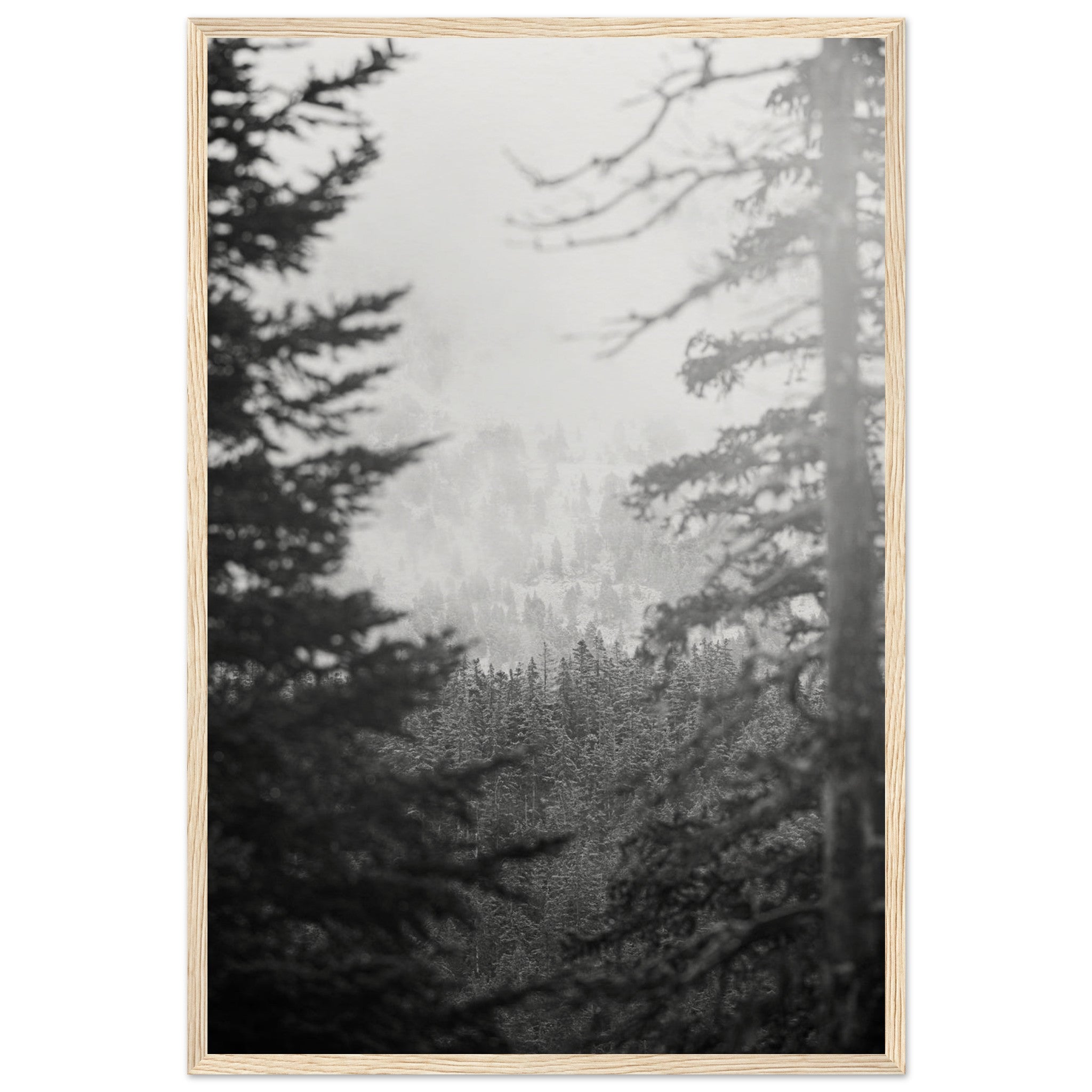 6a95e3b6-9e19-4f25-a8e0-567107afe9f8