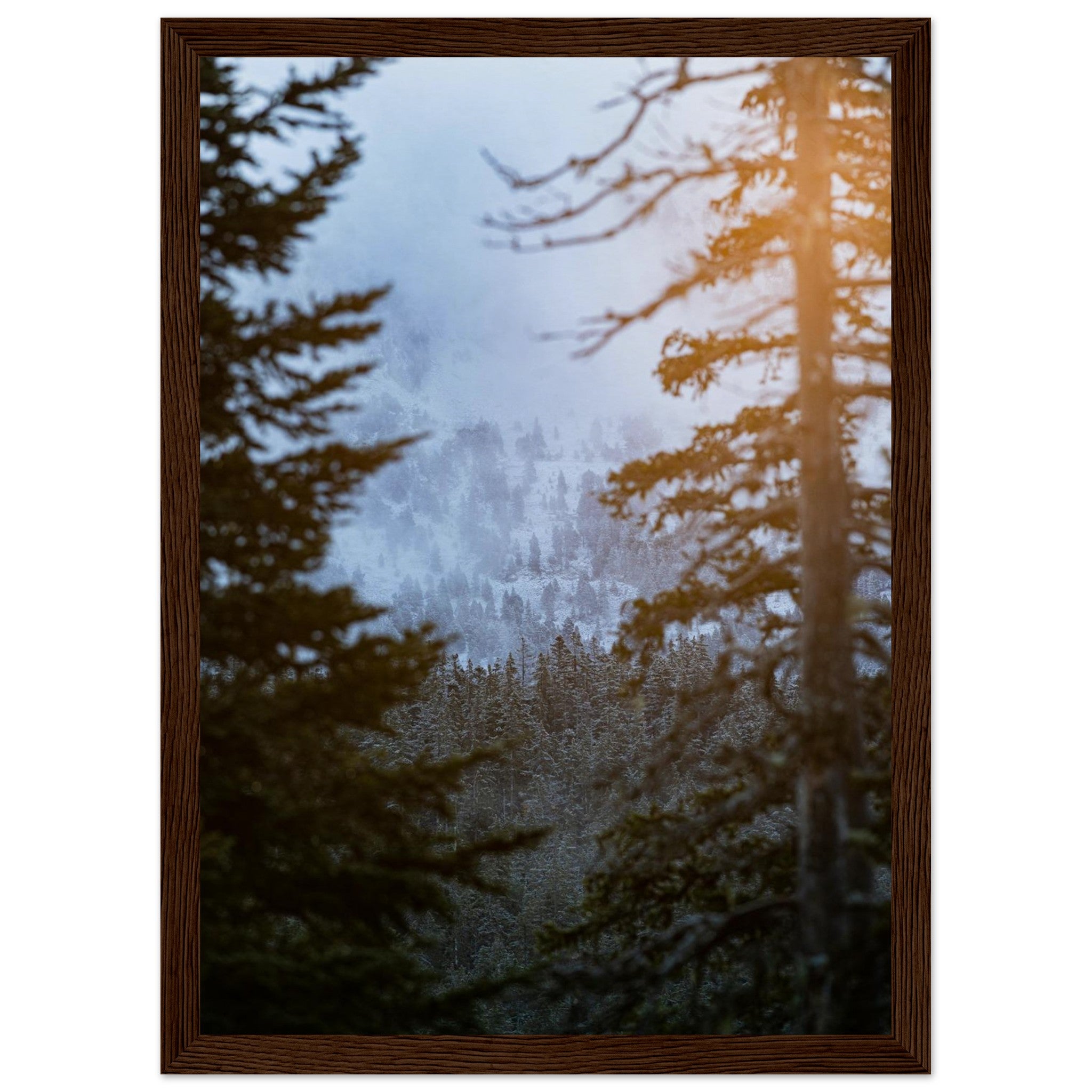 6b766de8-76ad-40f5-b772-4c8c04f473b7