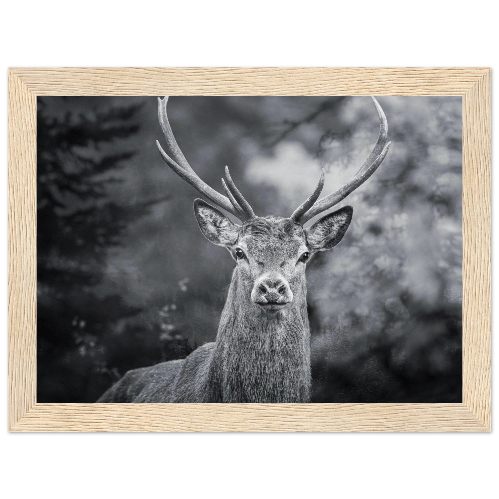 6bb4edf6-5e08-46c9-bba6-bd6a1f816f91