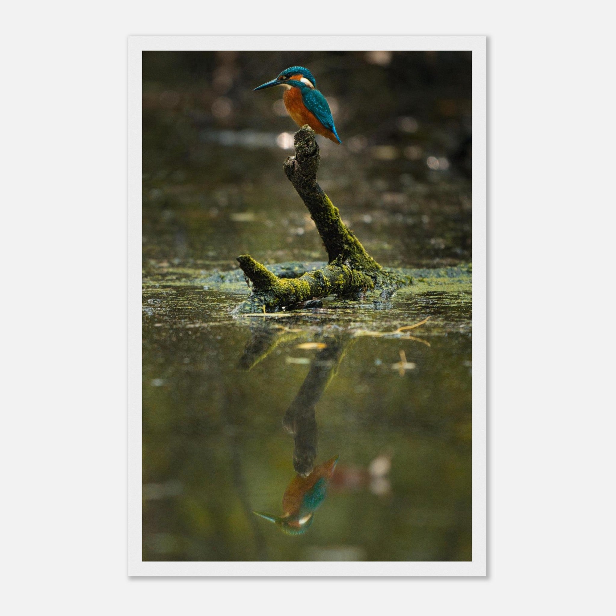 6ca12d4c-eab6-4409-aaaf-f3d65698b50d