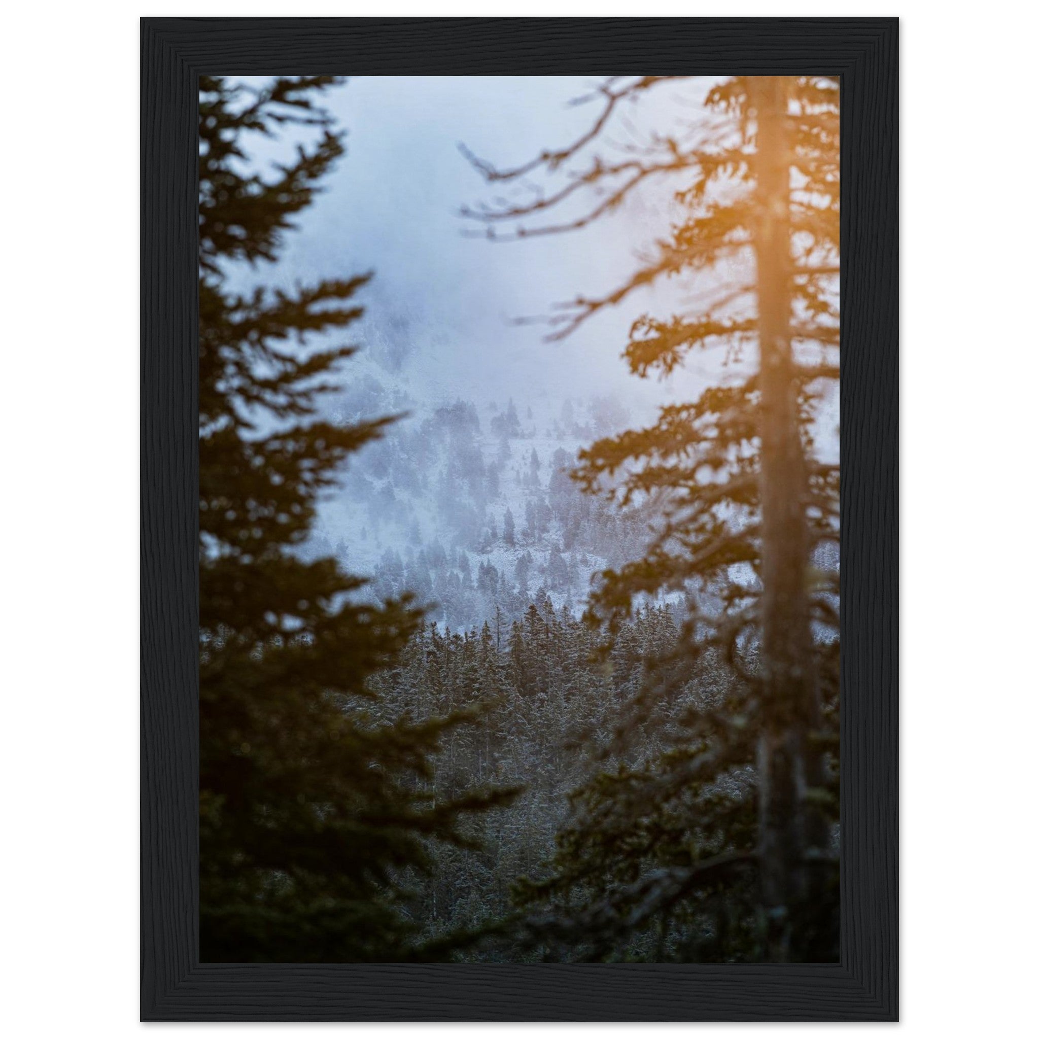 6d598076-14a8-428b-8f00-f9c323029bc5