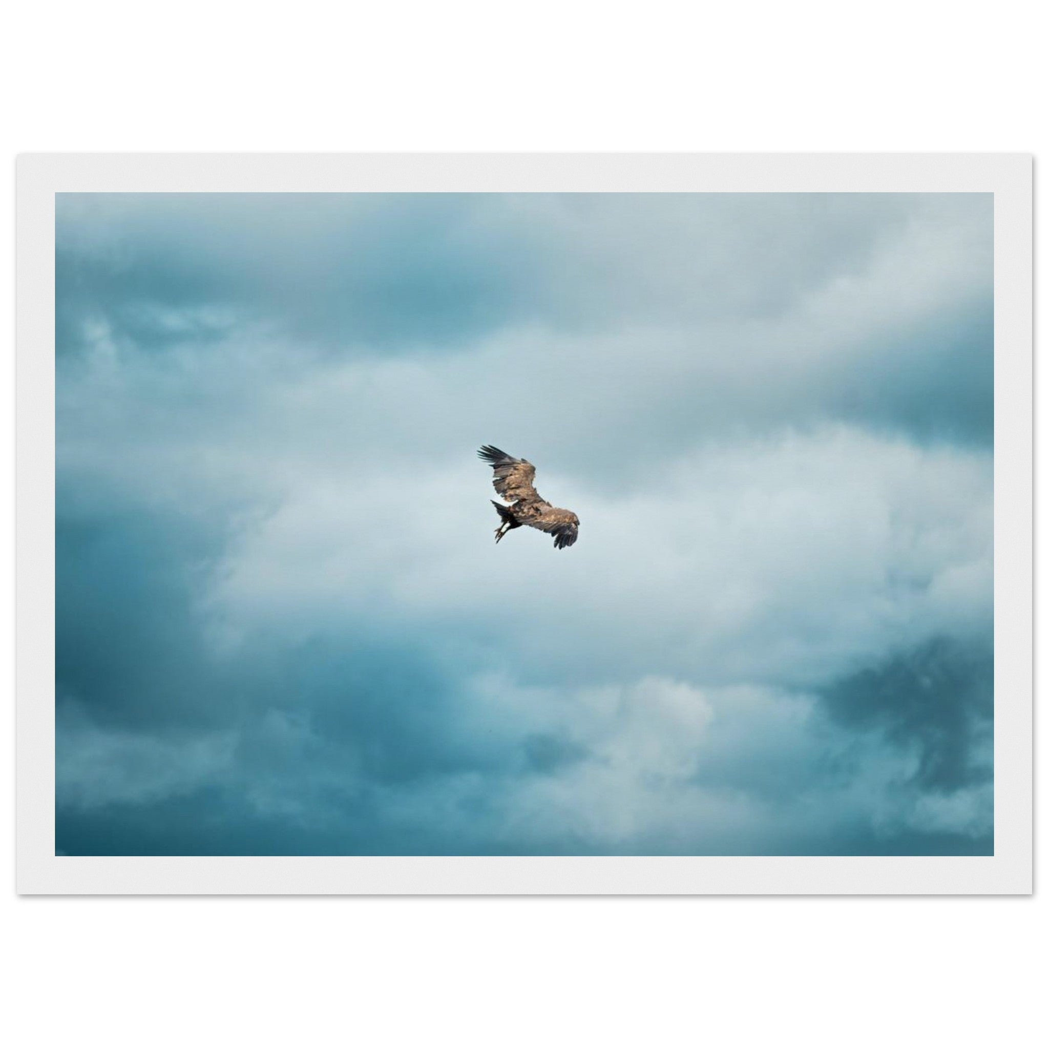 6e33155f-2af5-4ebc-9763-74ef4f4eff77