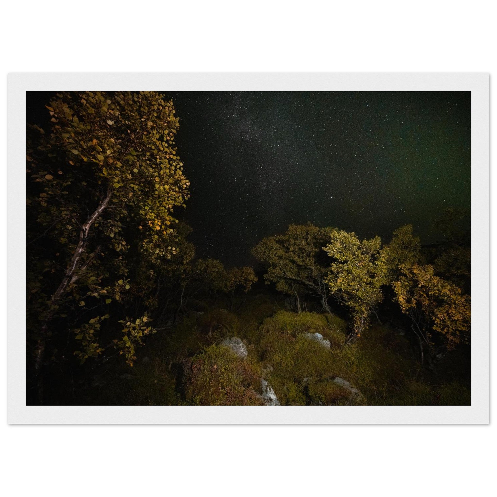 6ee87a68-9863-4e82-9344-0eb791e1b0d3