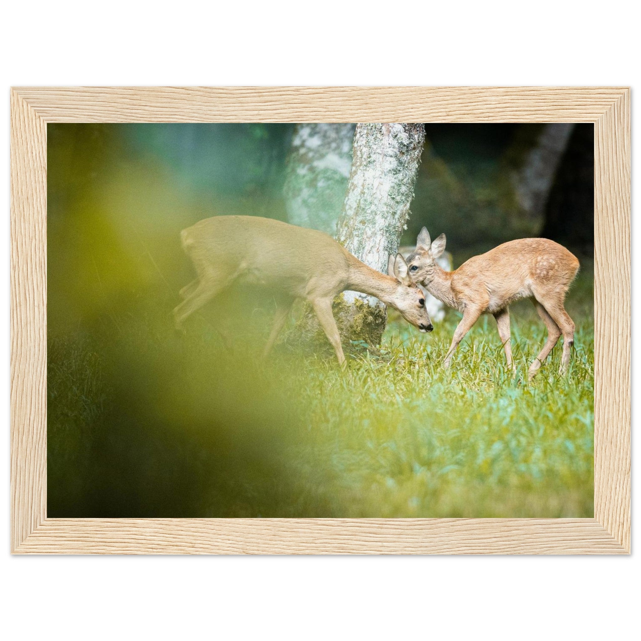 6f4ecdcd-56df-4a20-9fe4-890d60bd236e