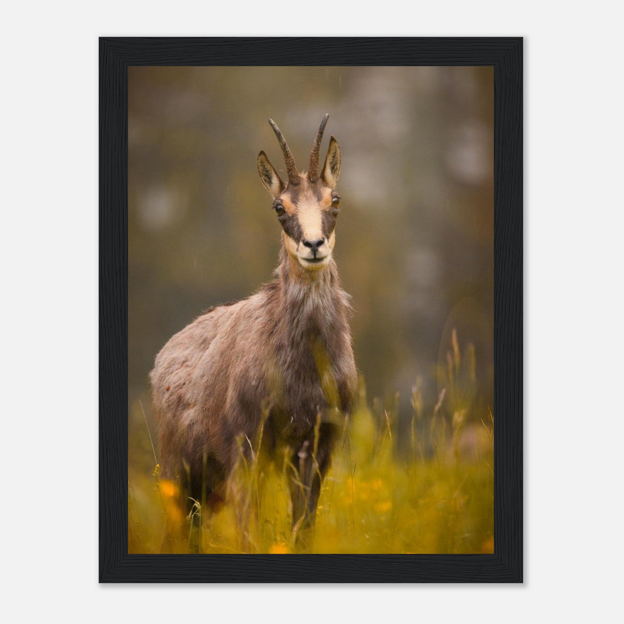 701ab823-c24a-4081-bafb-708d3f1383ef