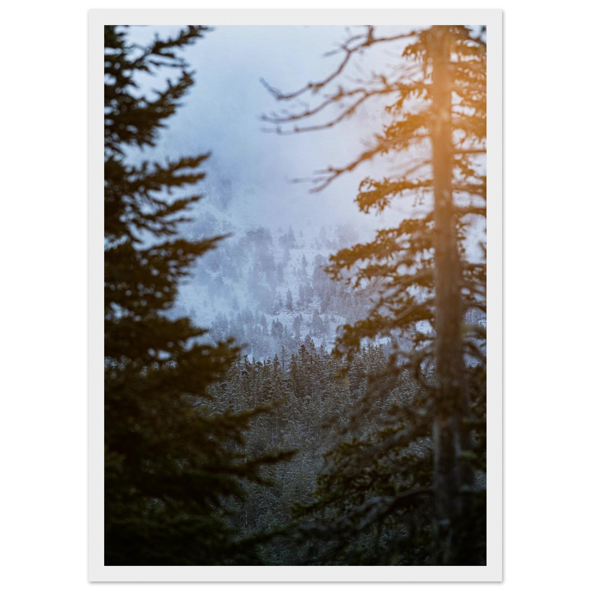 711e46f4-40e3-45e8-93ad-049c33376031