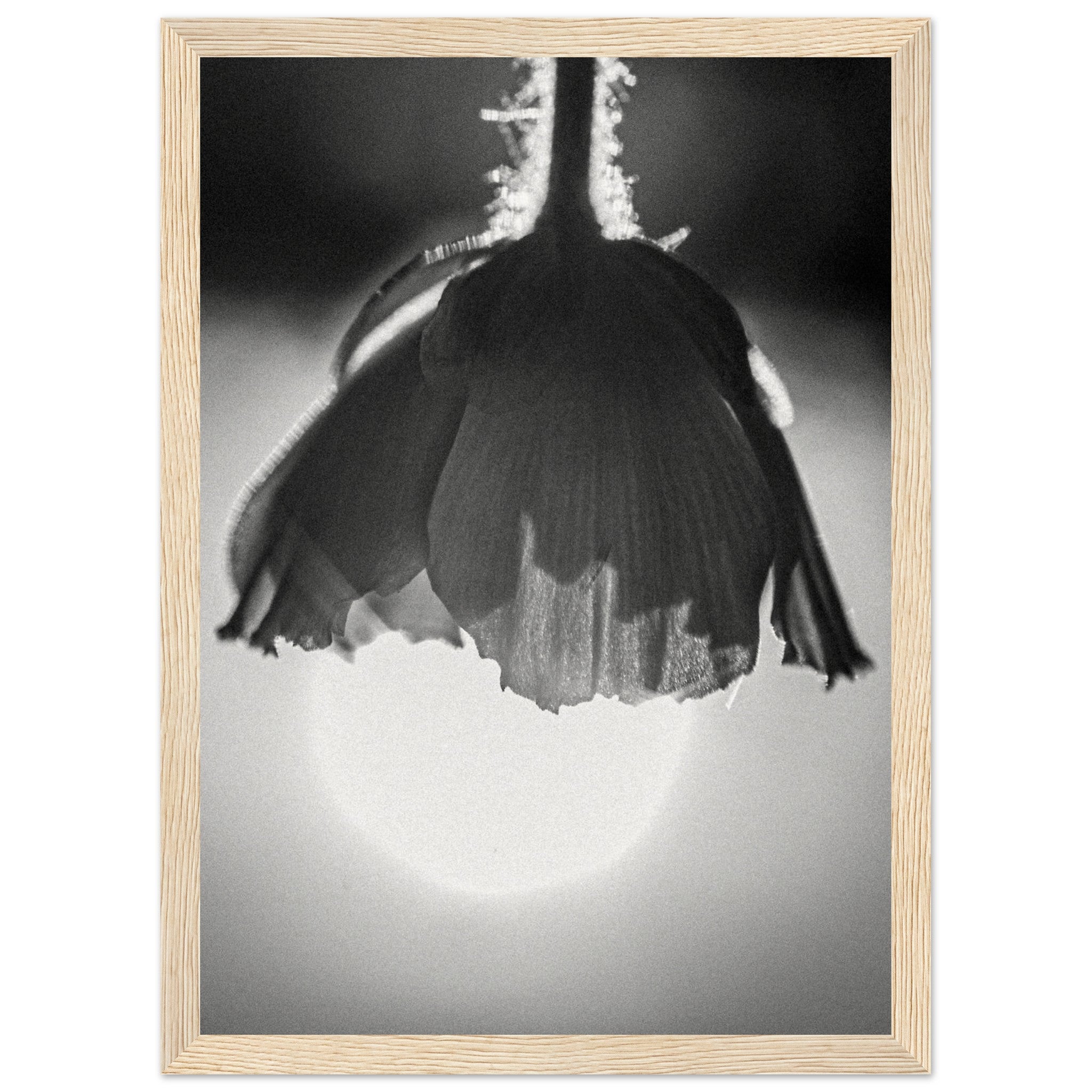 71284649-0b78-49bc-95c3-fe0fc11f6215