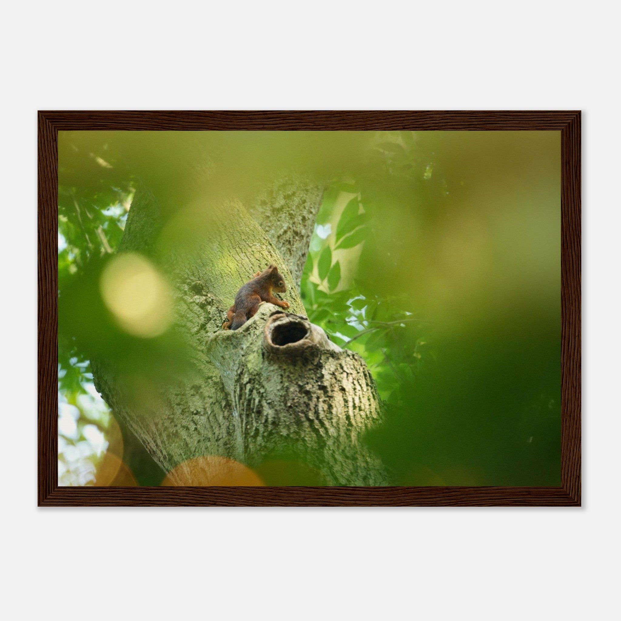 71b97c44-87bf-45f0-9a81-0b1edaec3f3c