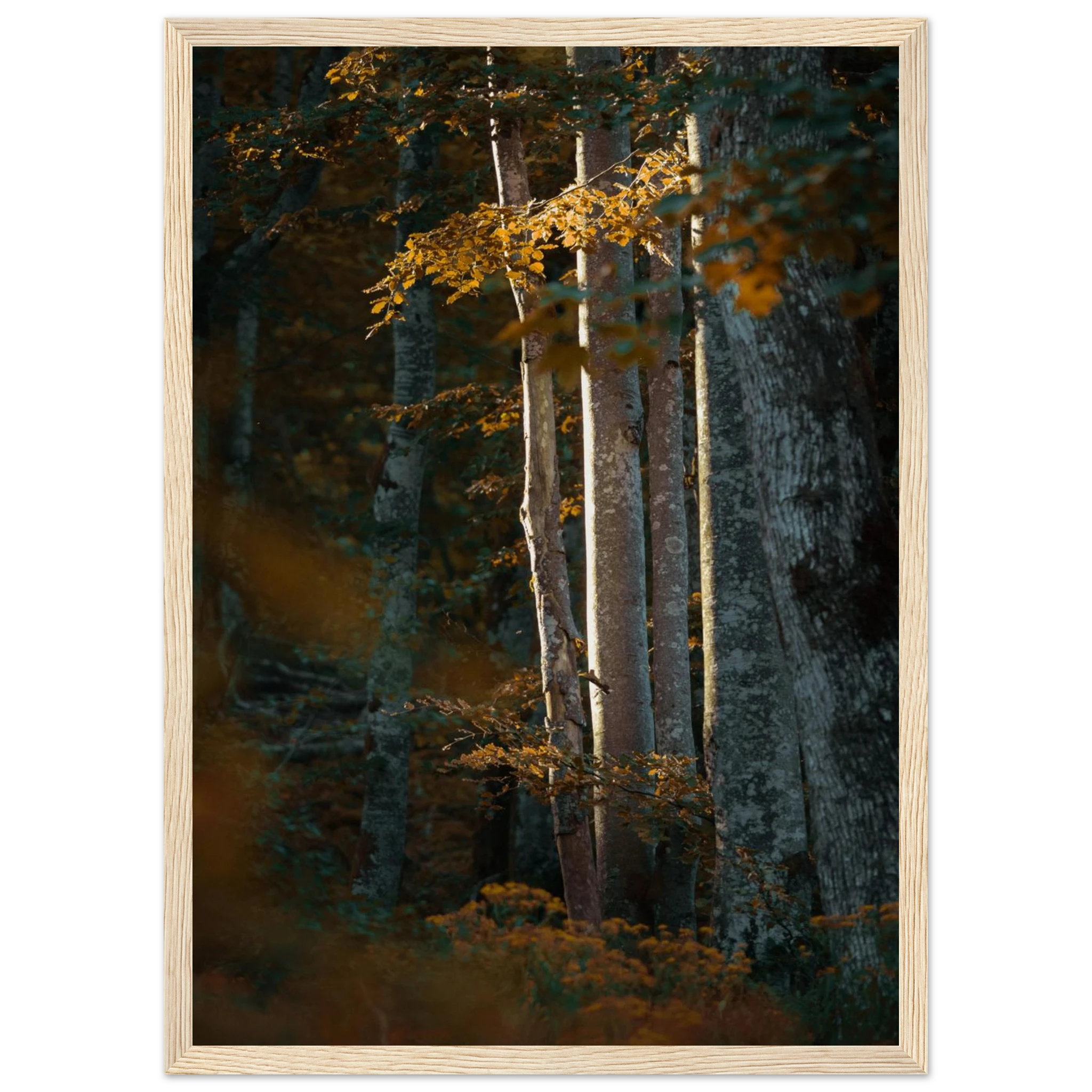 726a6173-84dd-4e4e-8714-572fcc3434e7