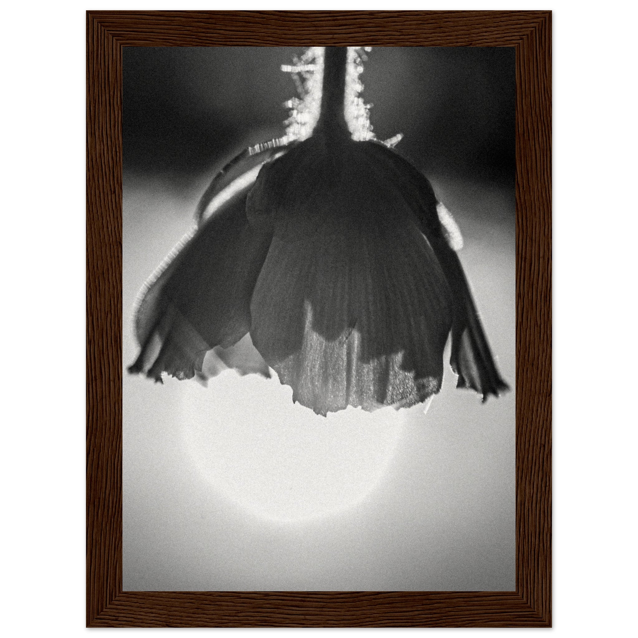 727d3d31-5062-41ac-a680-73bdeeff3463