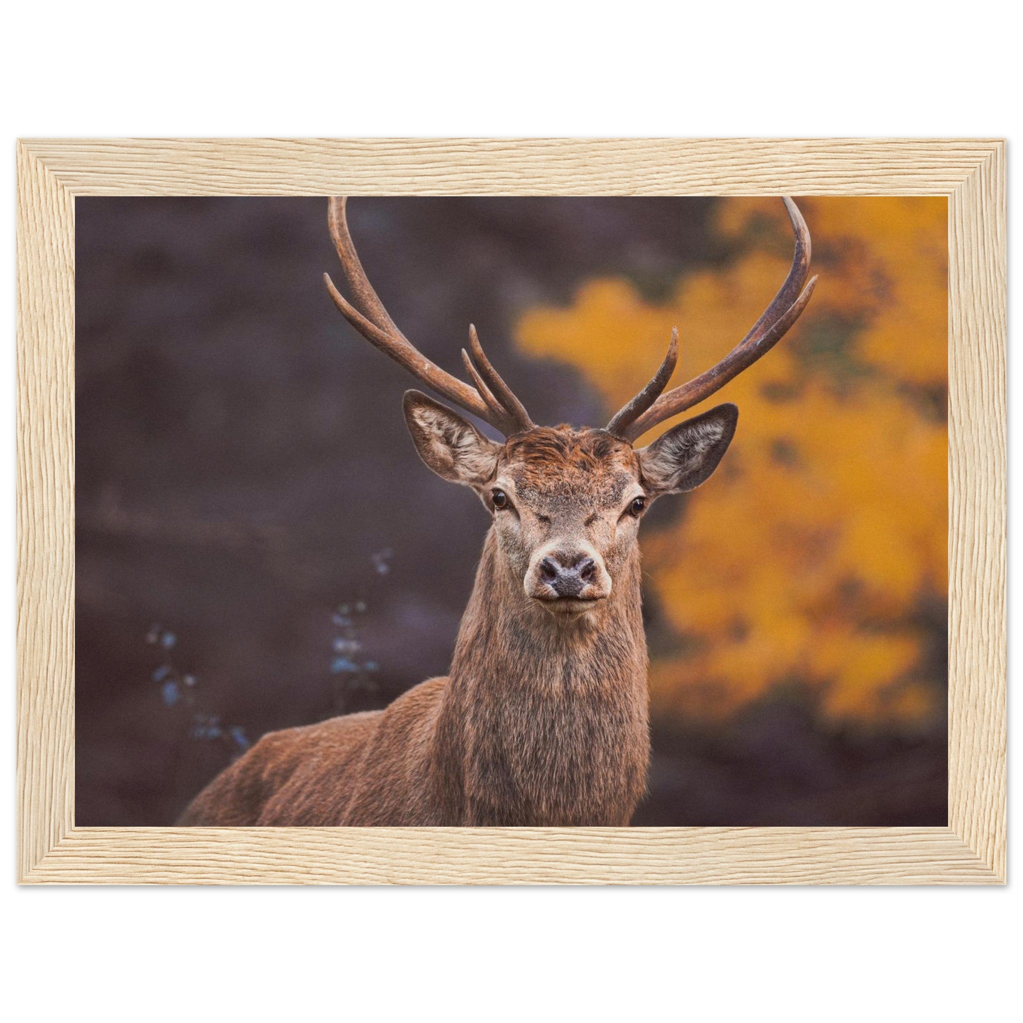 744877ac-7d8c-4a9e-8ddb-a4c86c121349