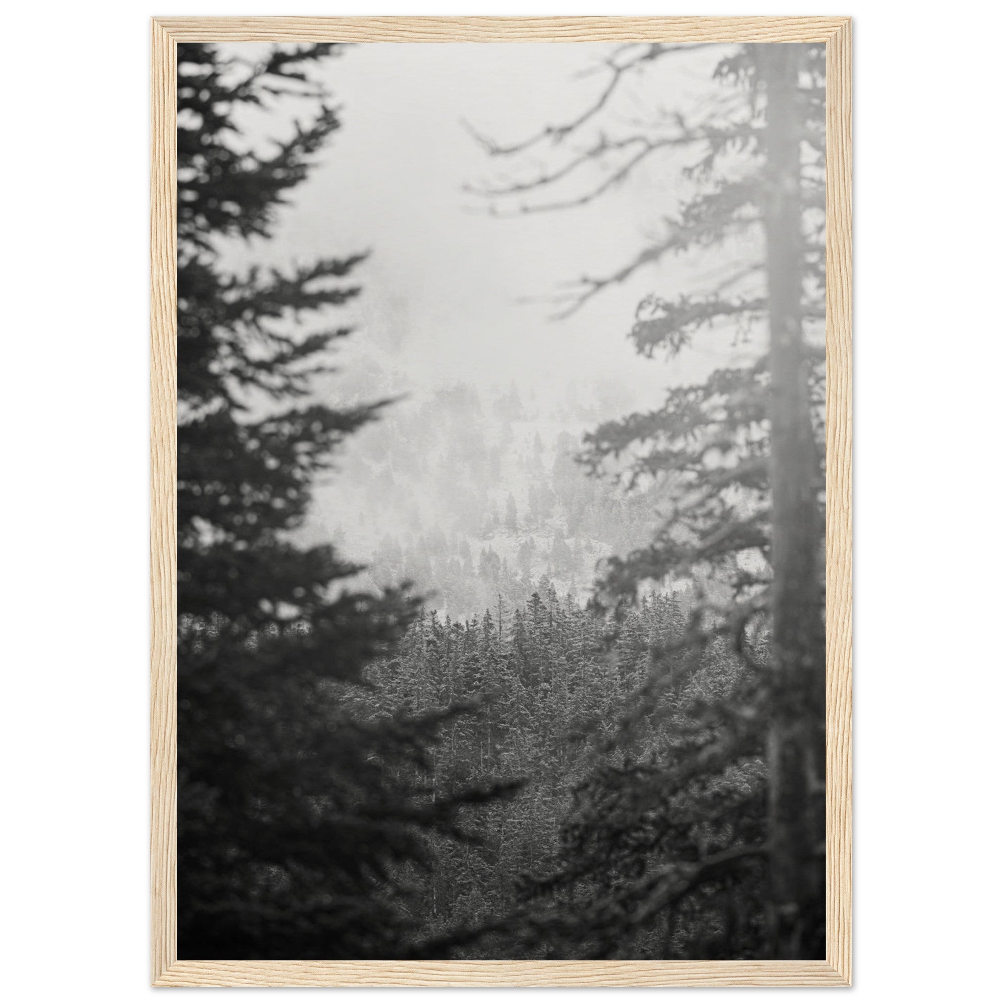 766ba36c-c0c3-4a57-b096-14805564b622