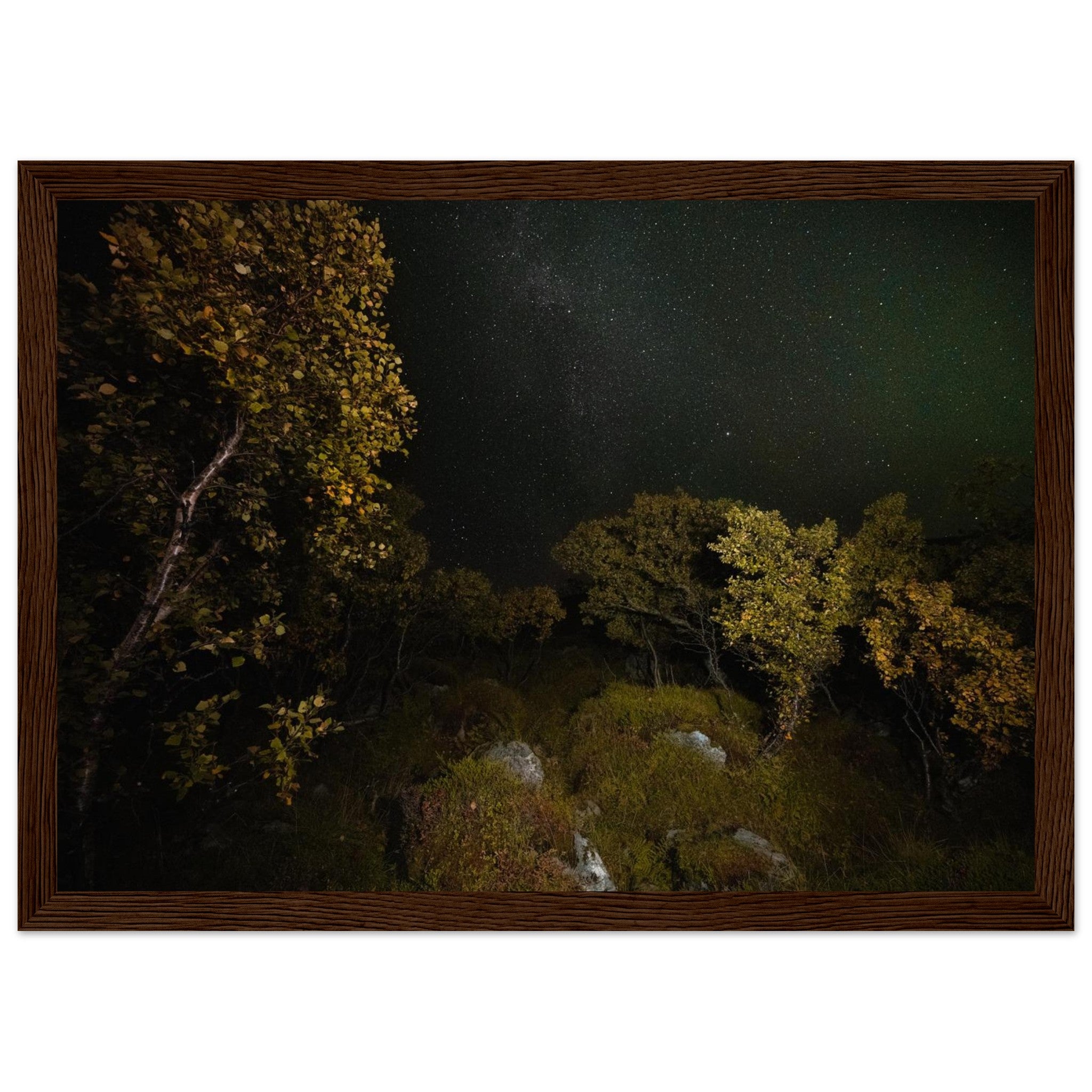 76800ccb-3c47-4da9-8729-006807bc17de