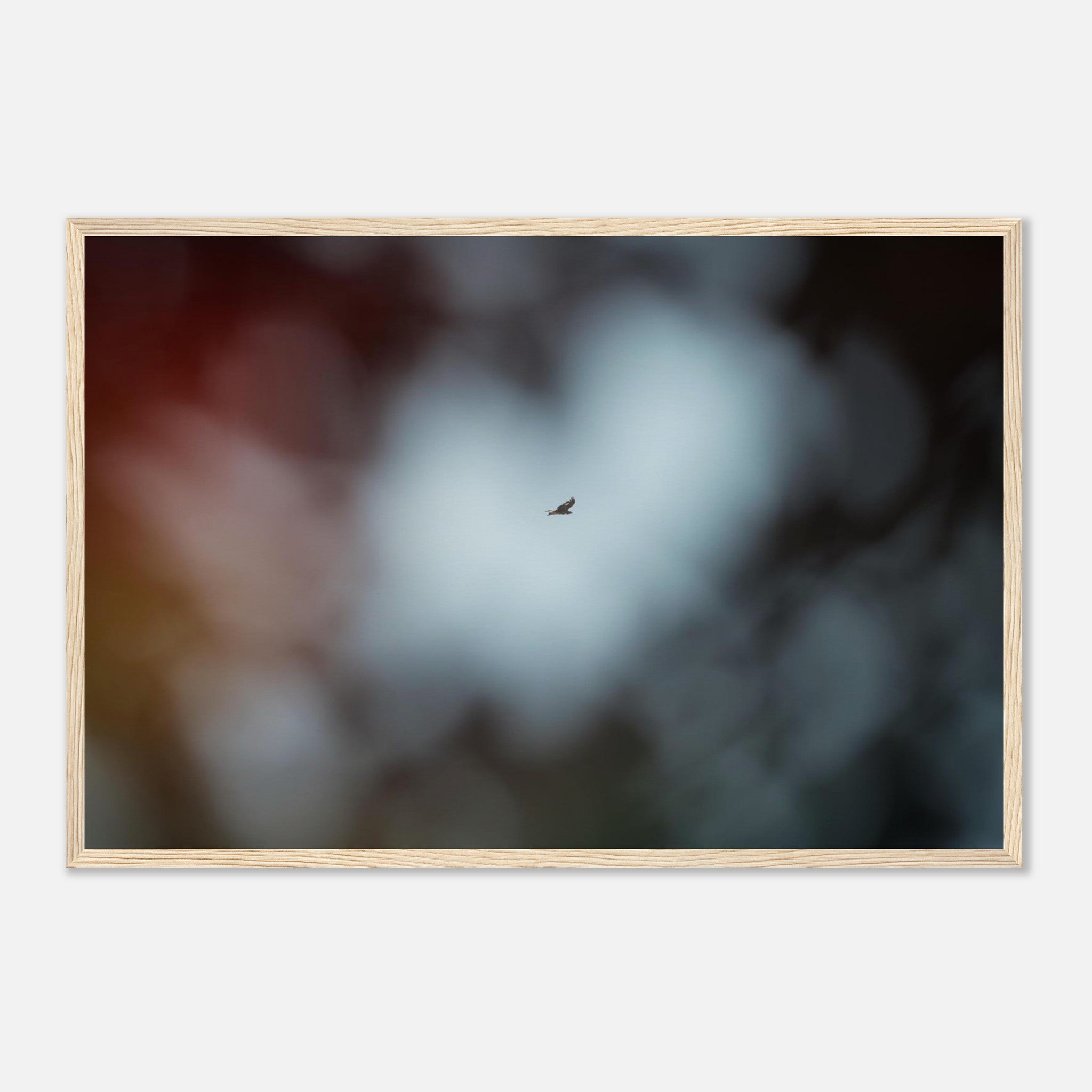 771bb6aa-92b5-4da5-8273-67121ad165e5