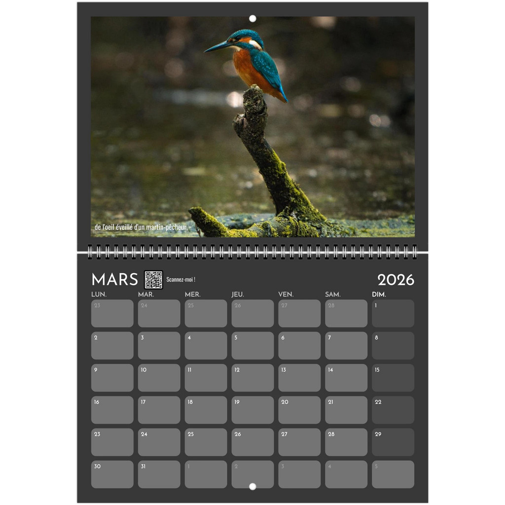 7764e24e-eb43-47bc-a449-80d4866dba71