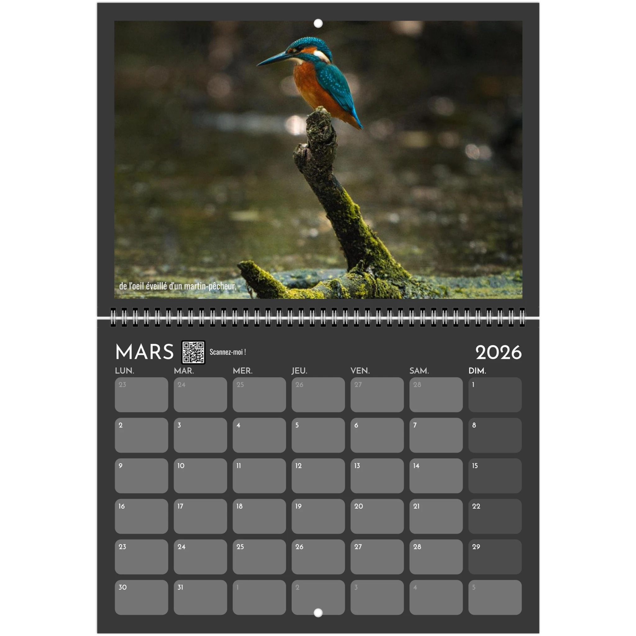 7764e24e-eb43-47bc-a449-80d4866dba71