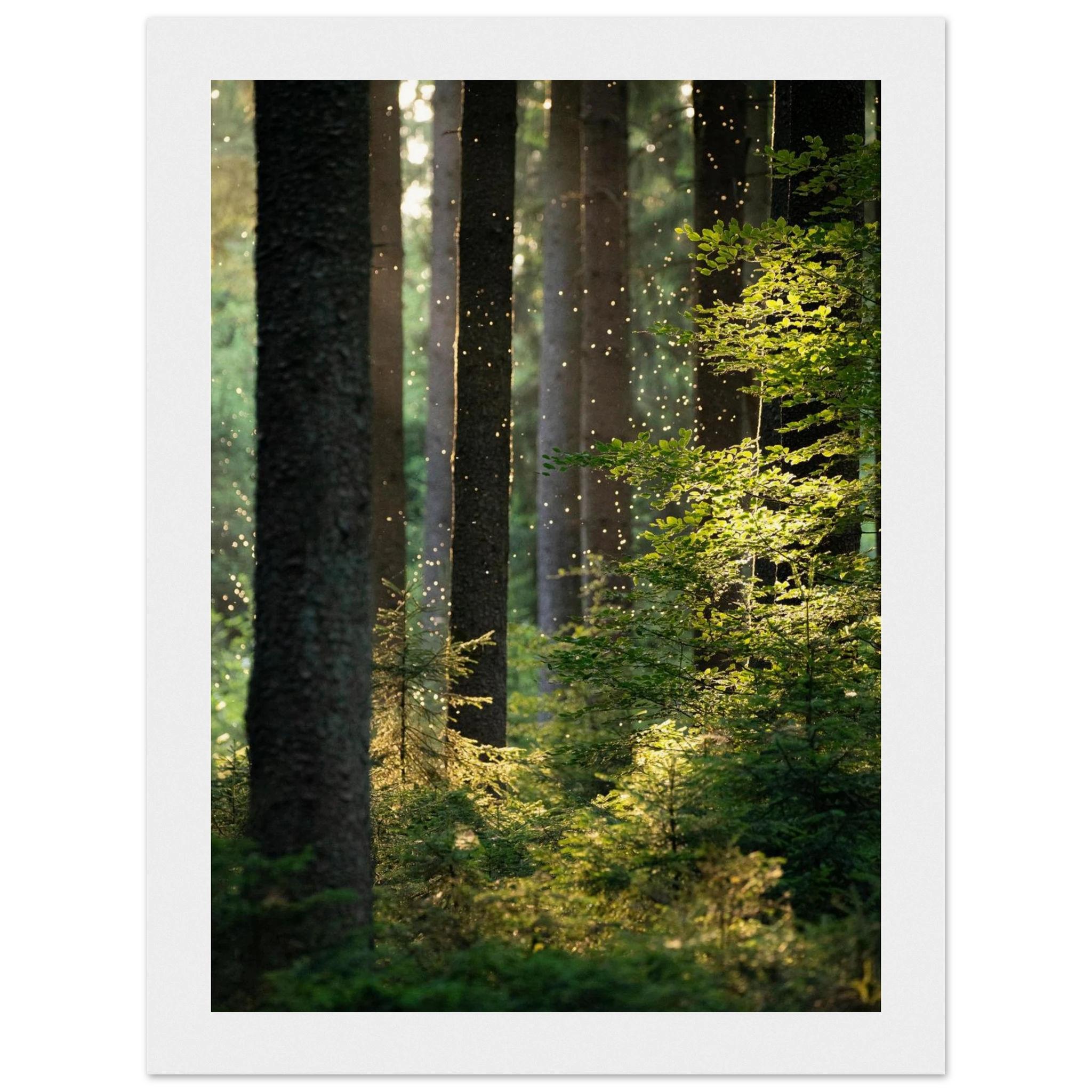 782bed37-dad9-4bbf-9d1a-7f708f5392c8