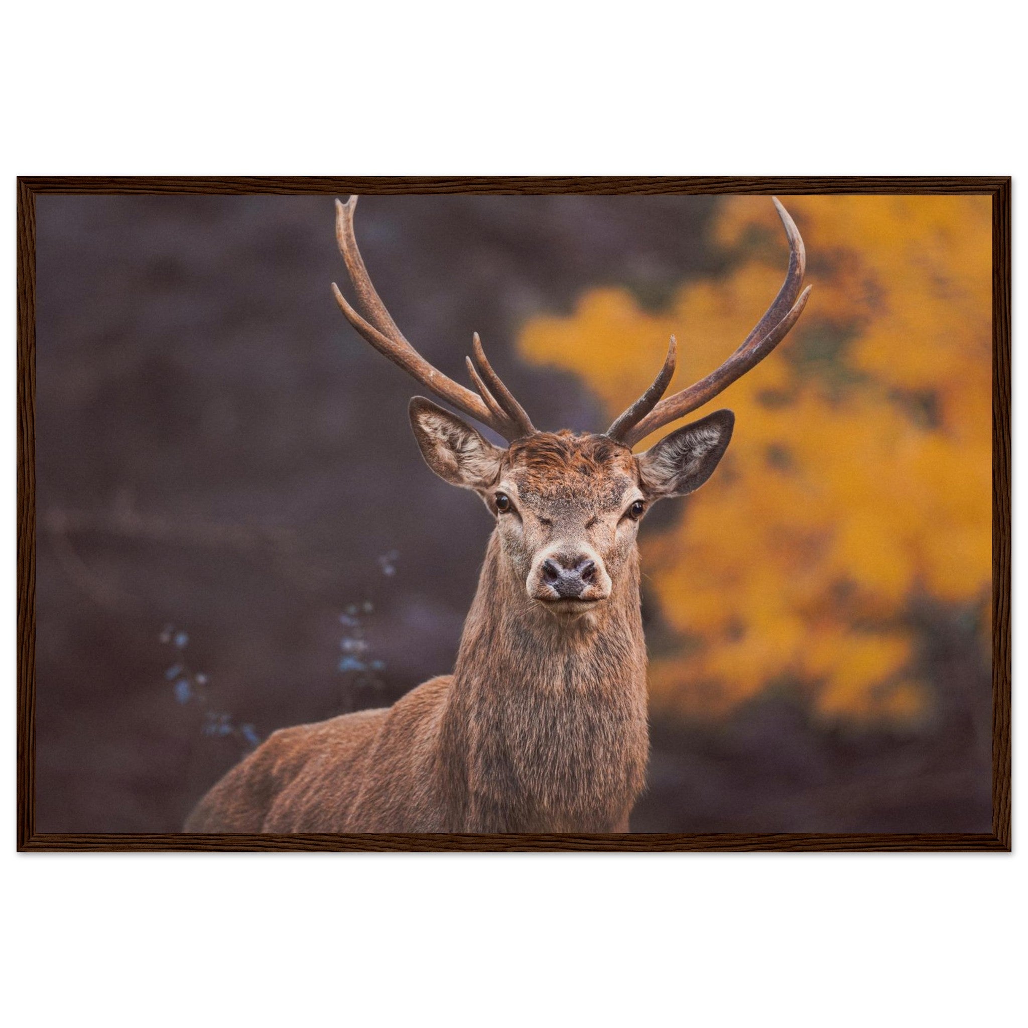 7984f34f-e122-4873-93b0-2410949a9943