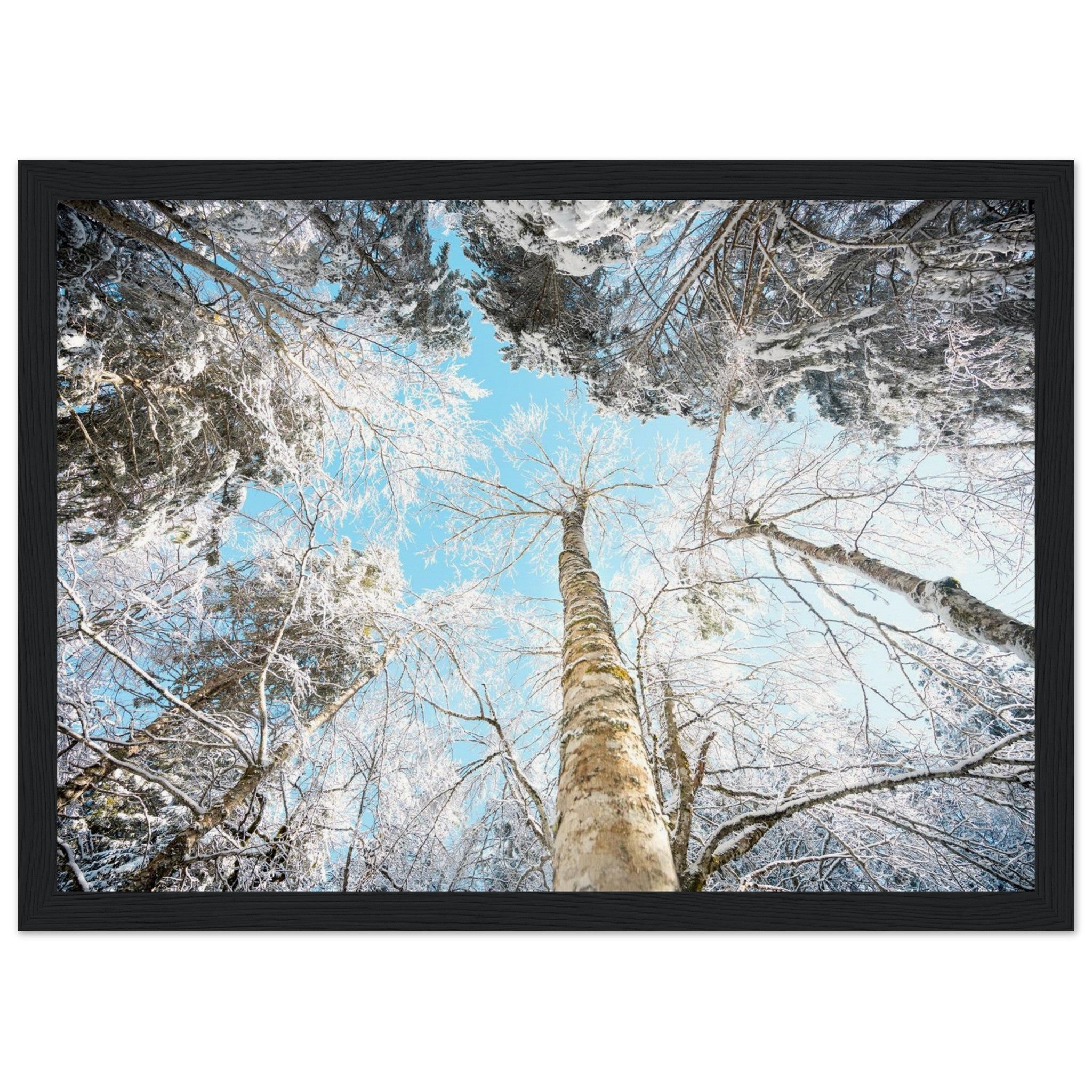 7b078557-b4c4-40ff-9c6e-6a2419606191