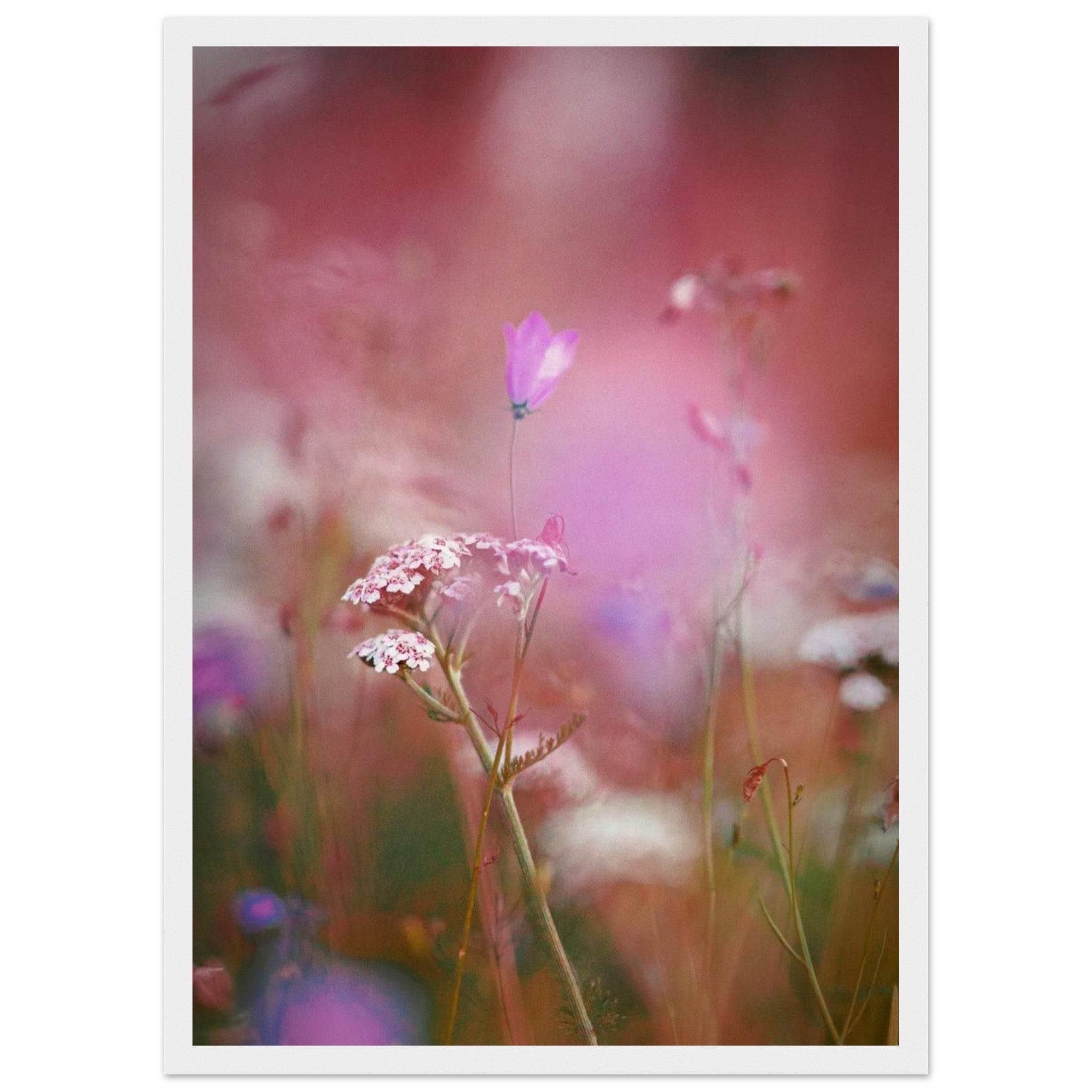 7cdaa775-0829-4539-9f01-afe8e125653b