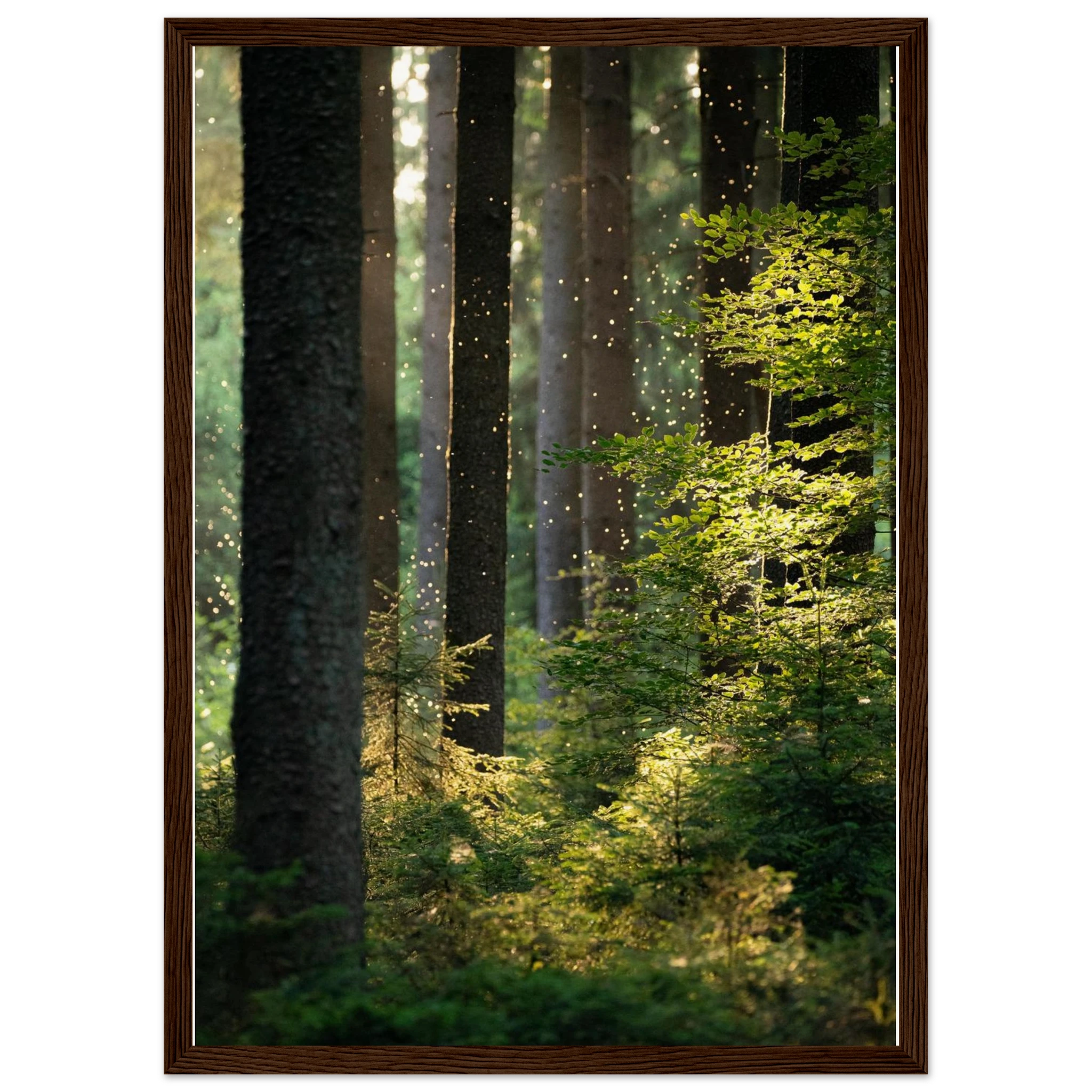 7dc0d7fd-690a-42e6-8dae-4484118d2aef