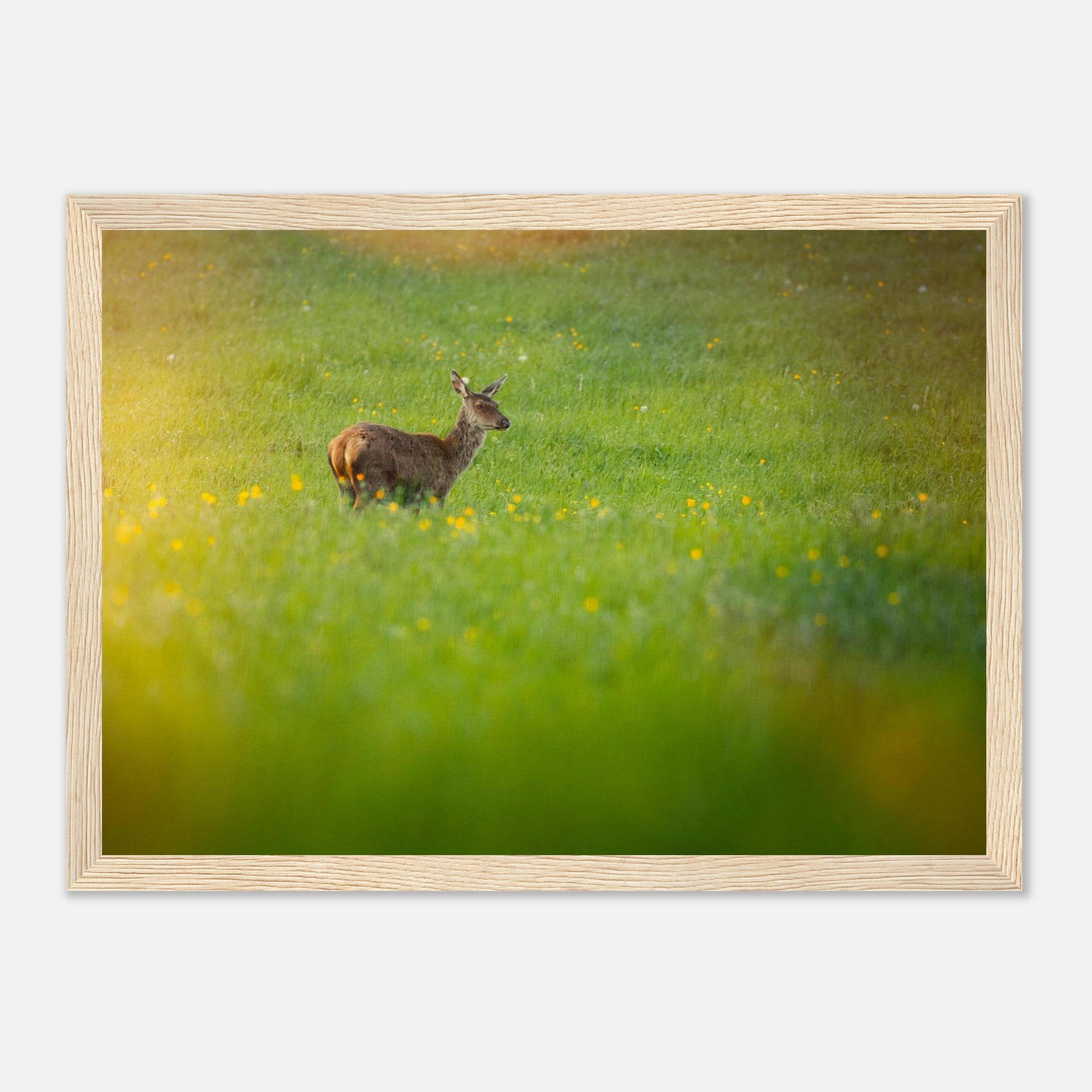 7ddb02fb-e3c9-4800-95f8-17ee753e0267