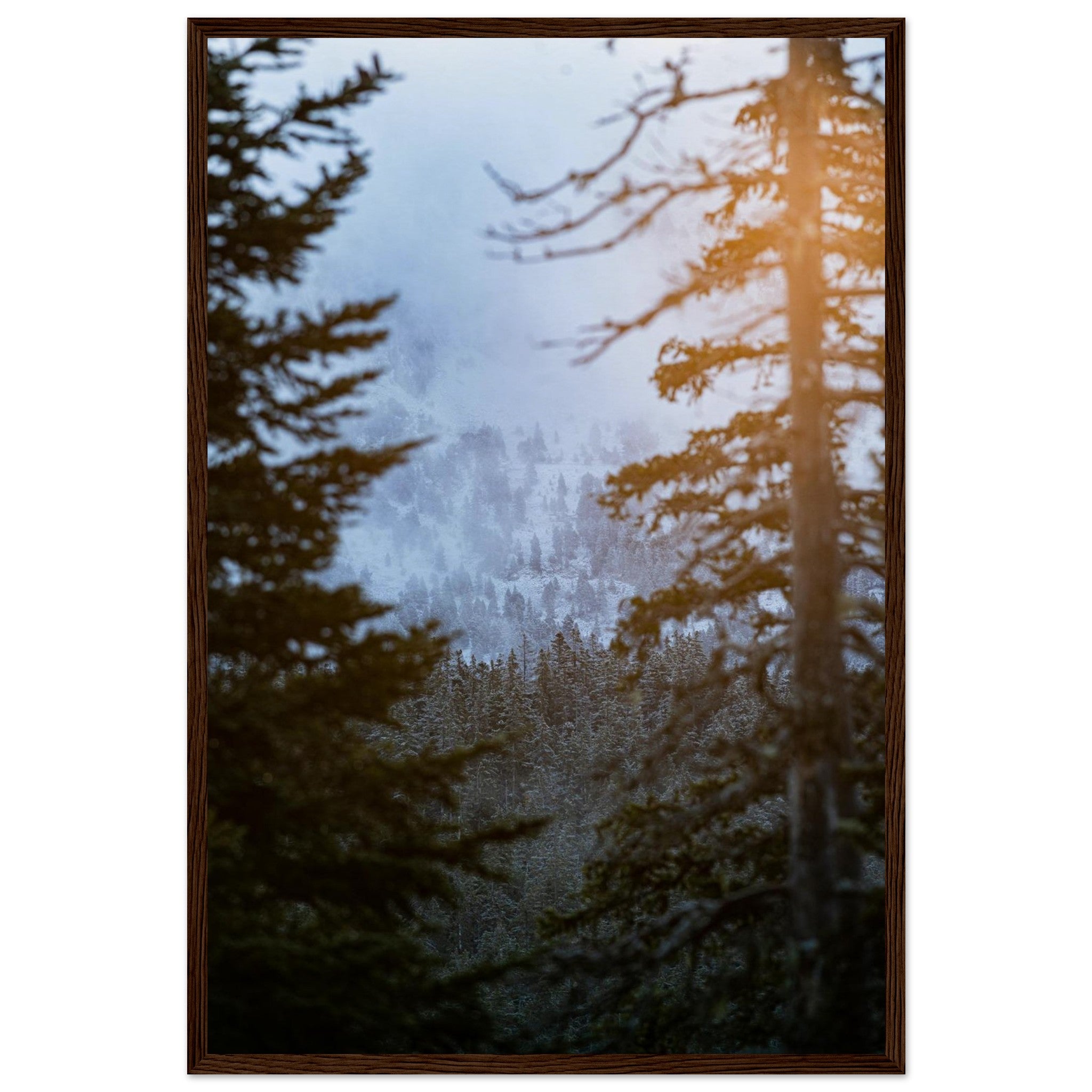 7dec4217-c71f-418f-a174-0c4c1f48f28b