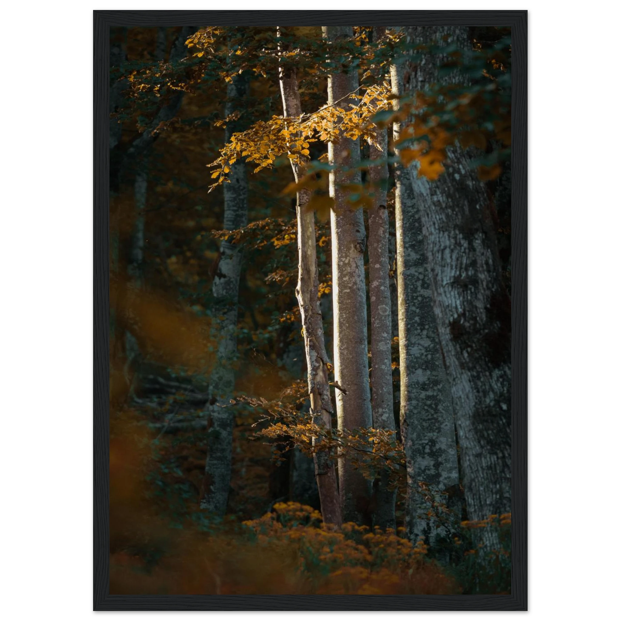 7ebe0768-c7f0-4731-9867-3acec0533c6b