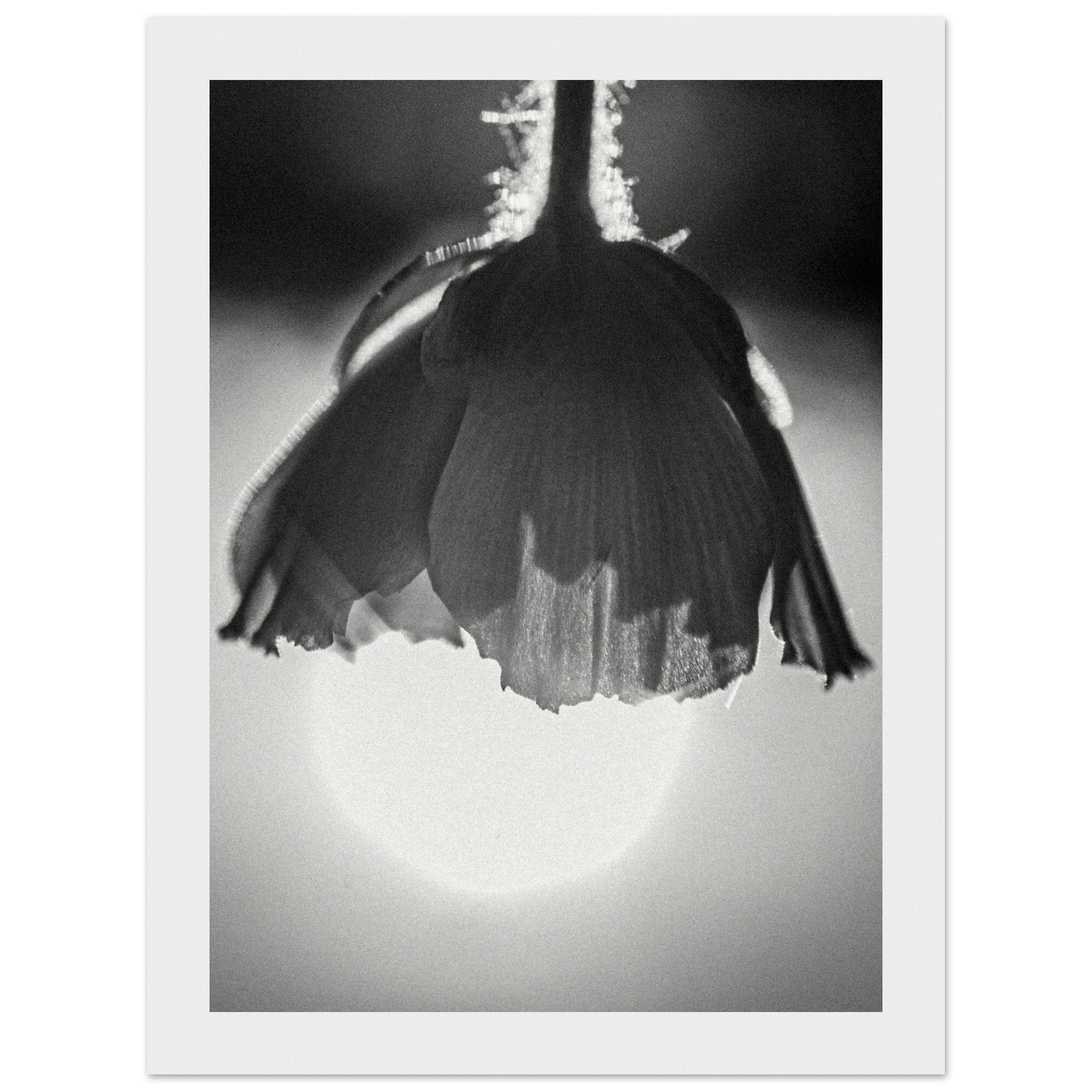 7f122128-123d-45ee-bb4a-c037d582725b