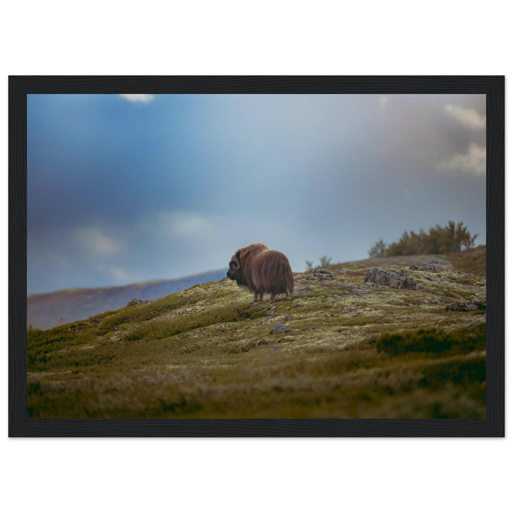 7fd1490d-d2ce-44c2-b016-15f95631a759