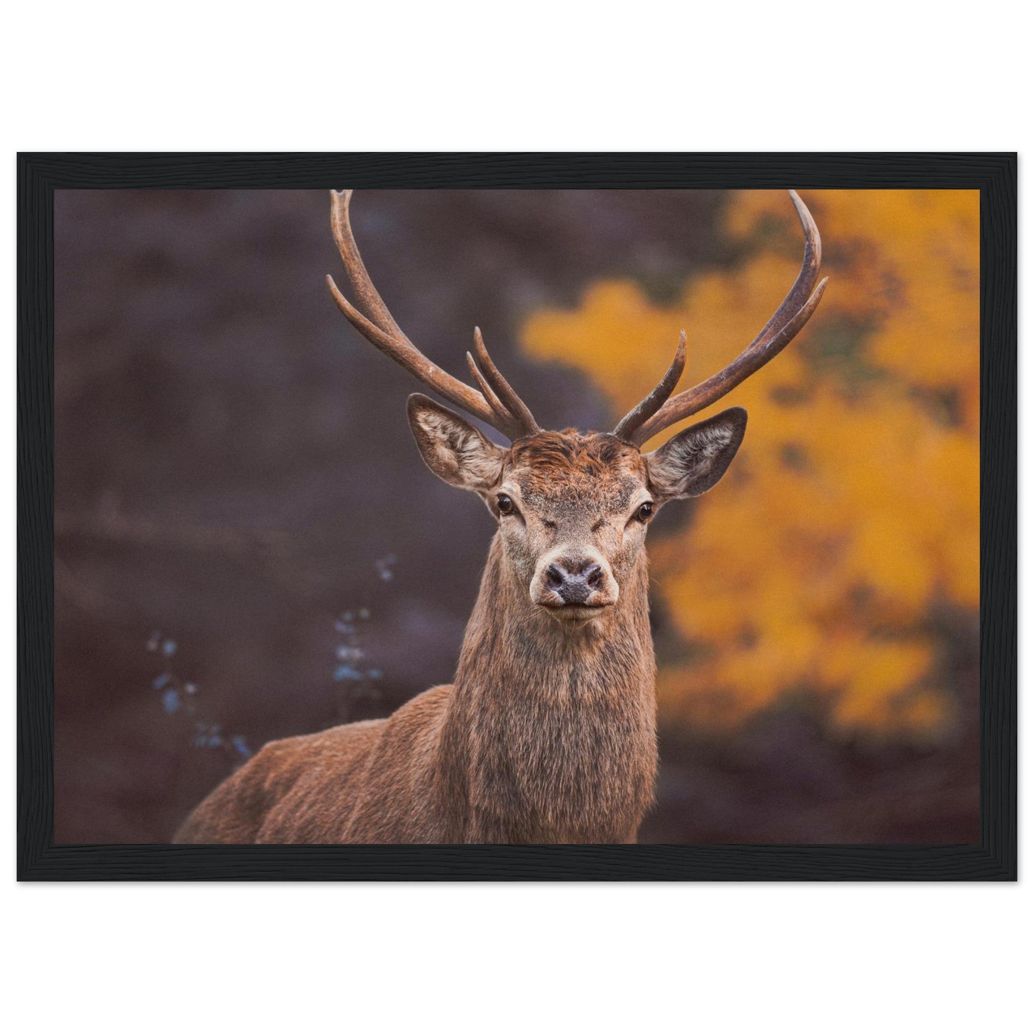 7fe69110-be50-42ad-9d48-dbcedb007bc7