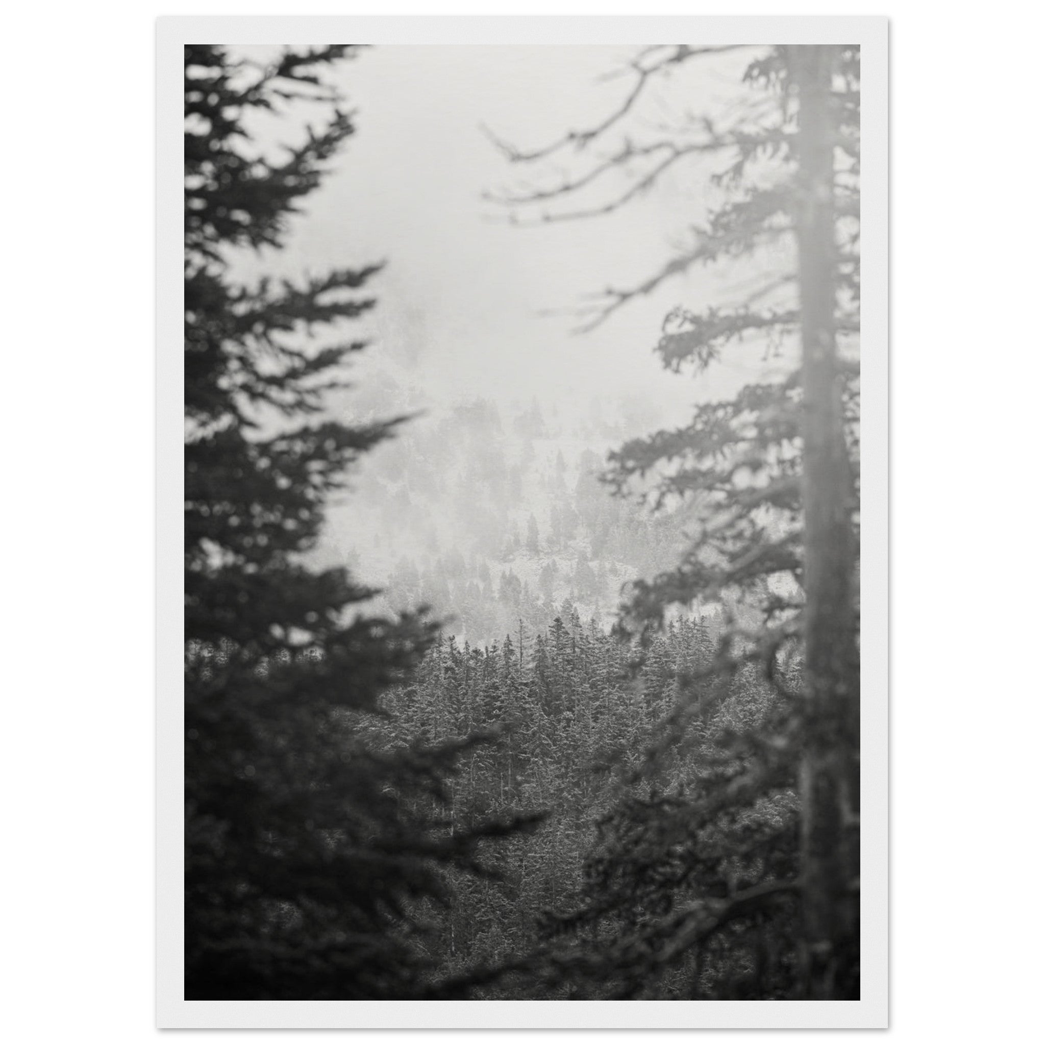 8035e2a5-f058-4a92-a4cf-9735d912f1b6