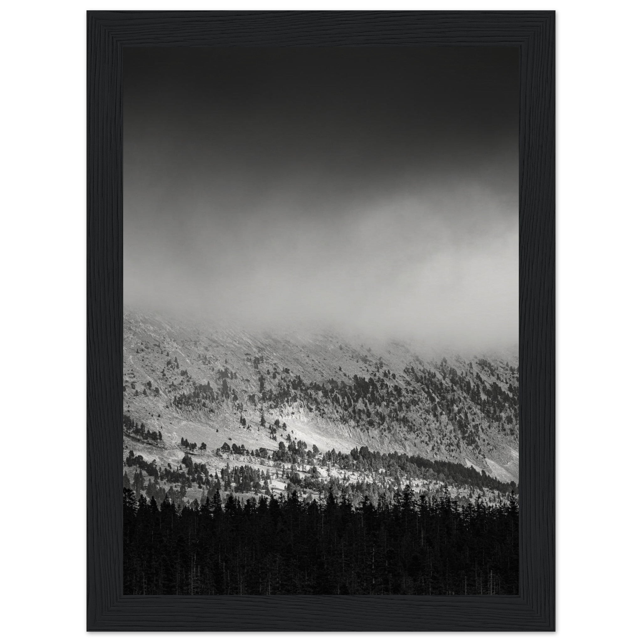 807c3630-1133-4cbe-8b22-c79105d3ac10