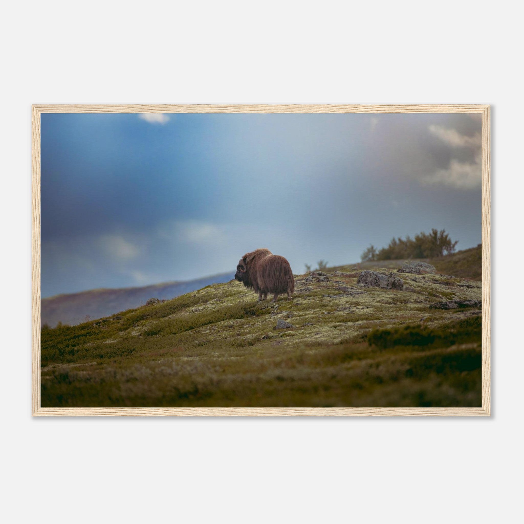 835555d5-7040-4b7a-91bd-8b0b2fce6777