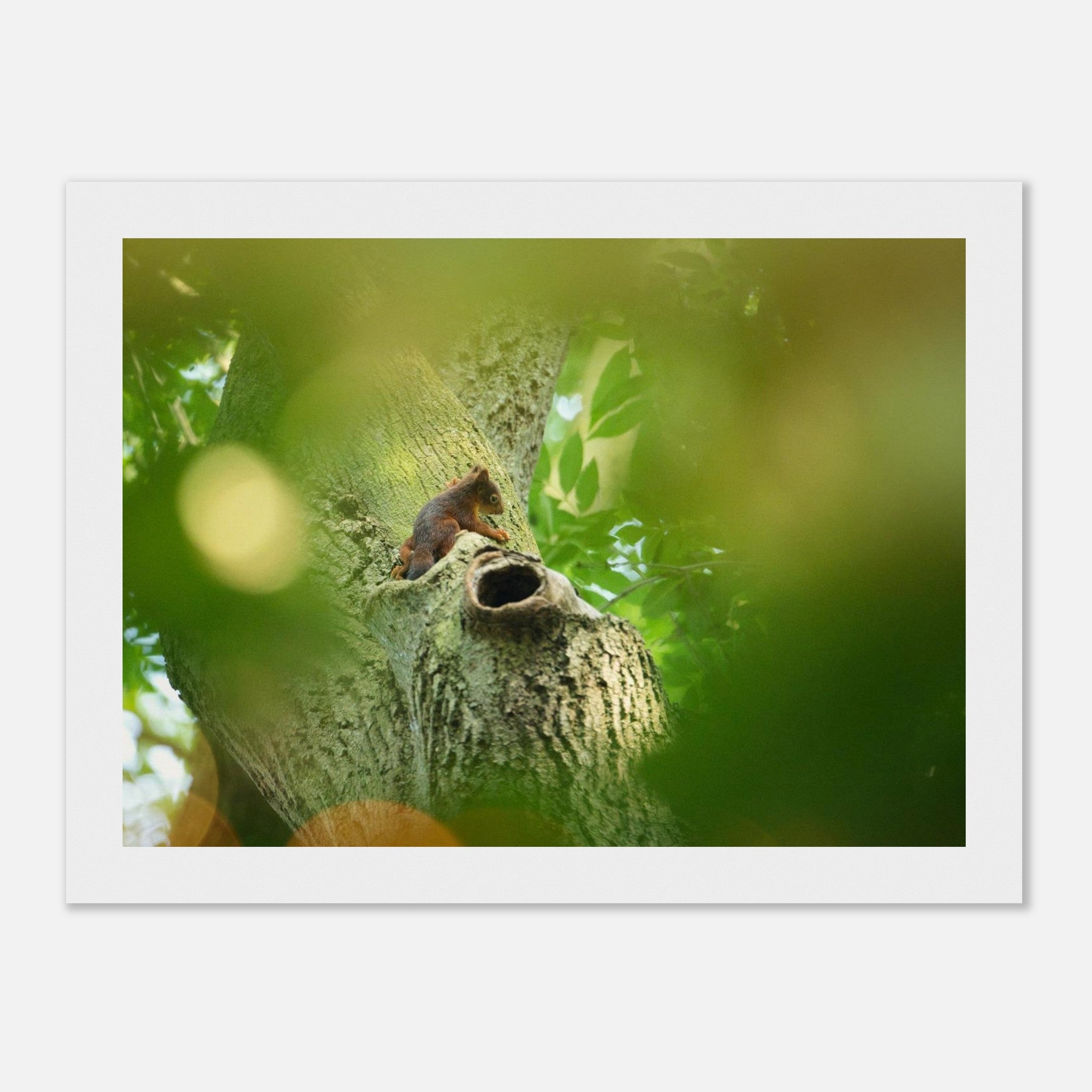 83601b48-370d-45e6-96f2-eb6e4c8e2fdb