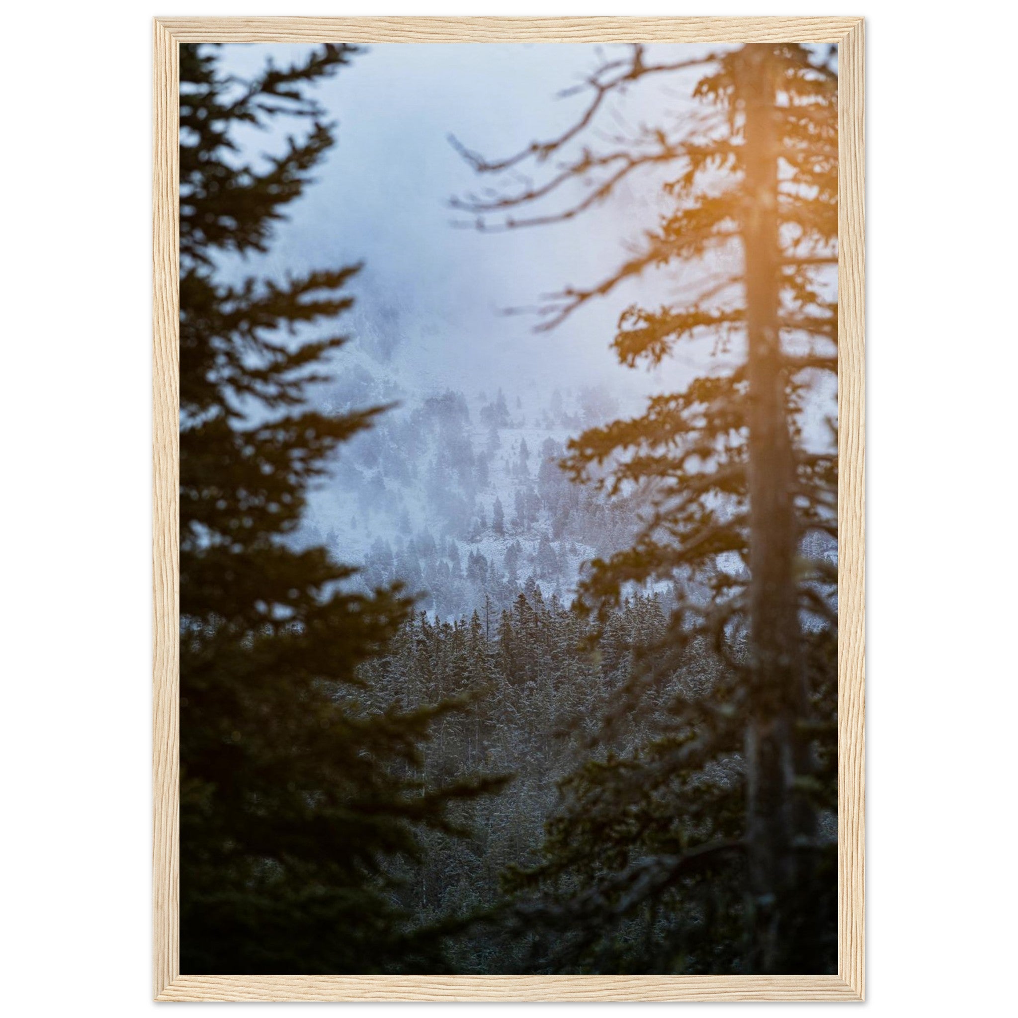 85d17cb9-0a72-4fb3-a837-a0186f1d3d0a