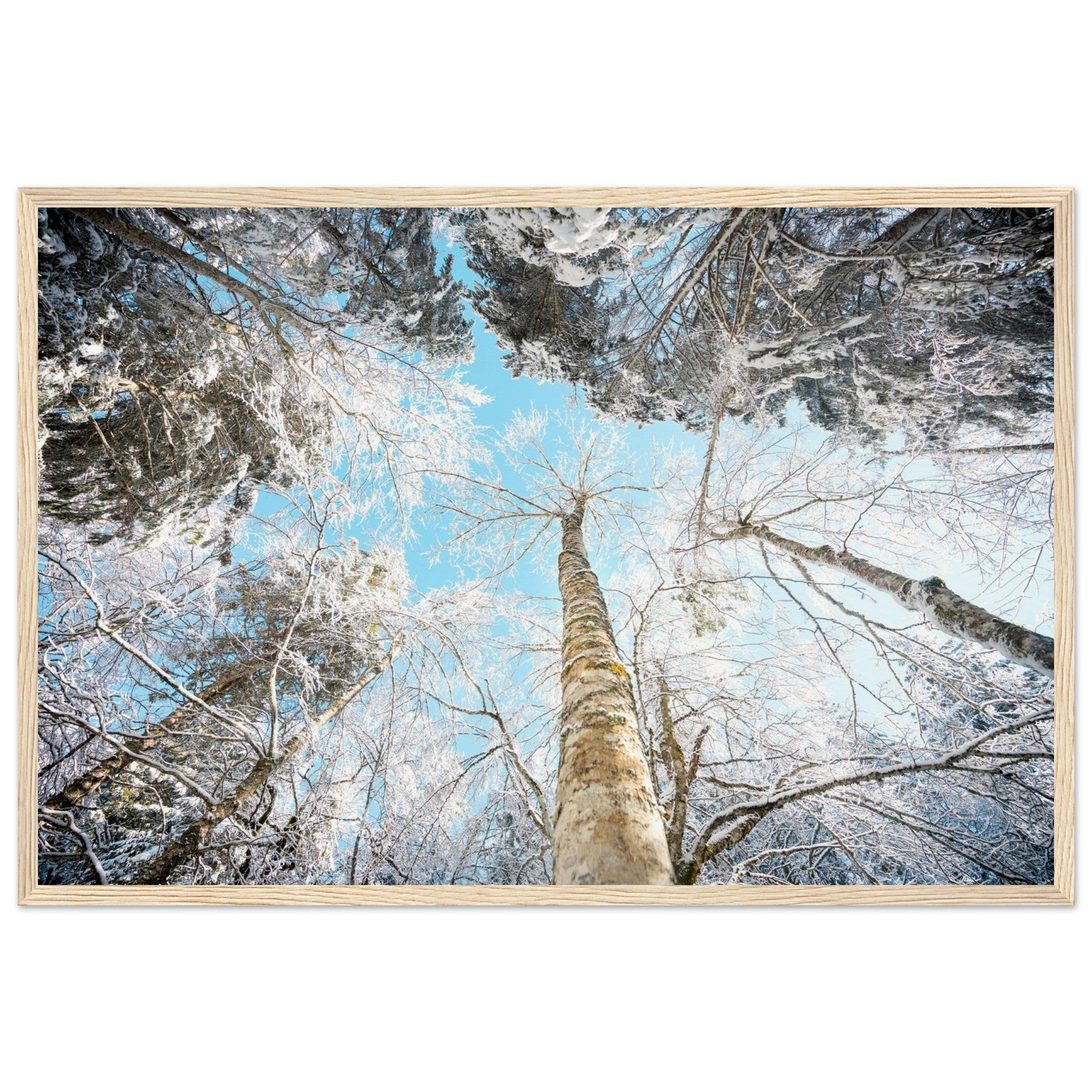 877f4814-7ca7-4f1a-9bf8-a249469f0a3f