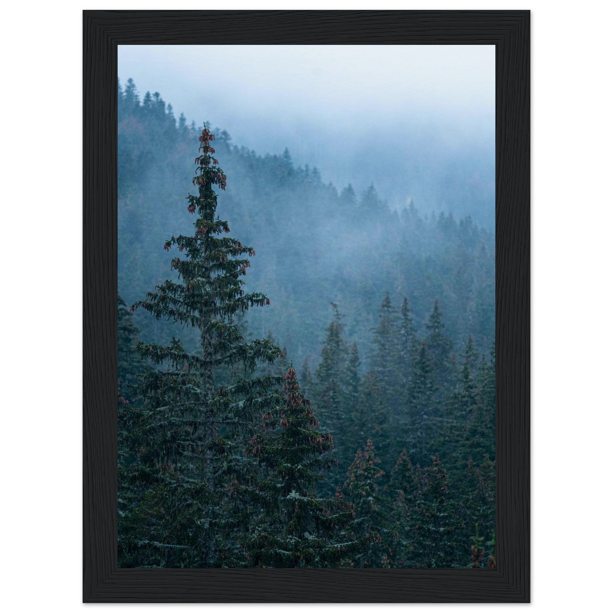 88cb1fda-74b4-42f7-b495-c7e3b81fe093