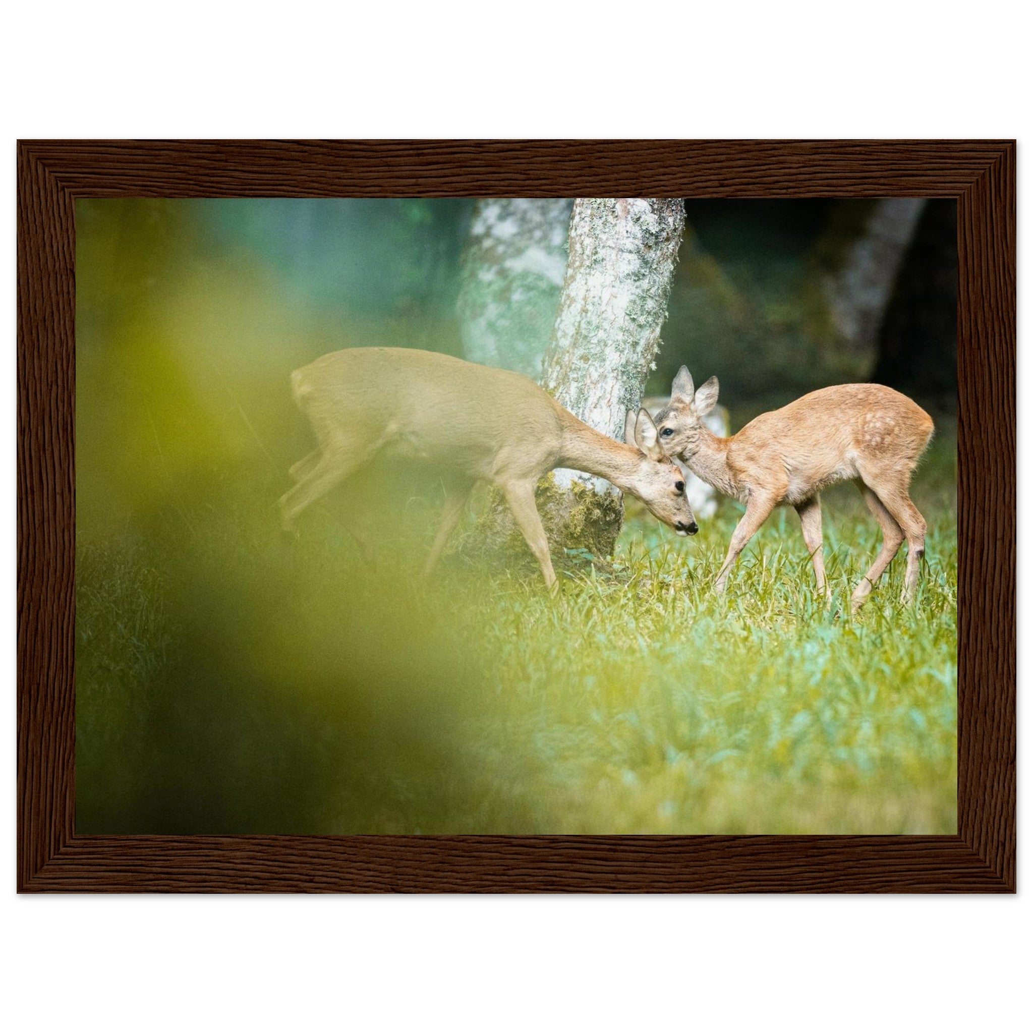 895372f6-d8b6-464d-9a53-72e47886814a