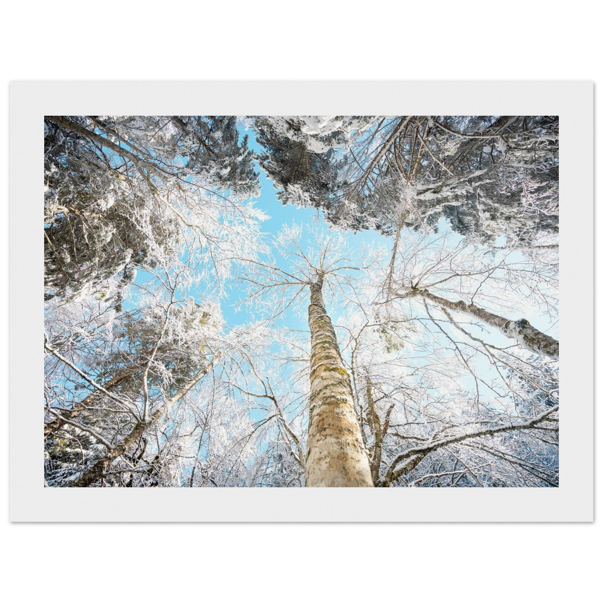 89b1dd58-2c9c-41a3-b14c-bfd000594814