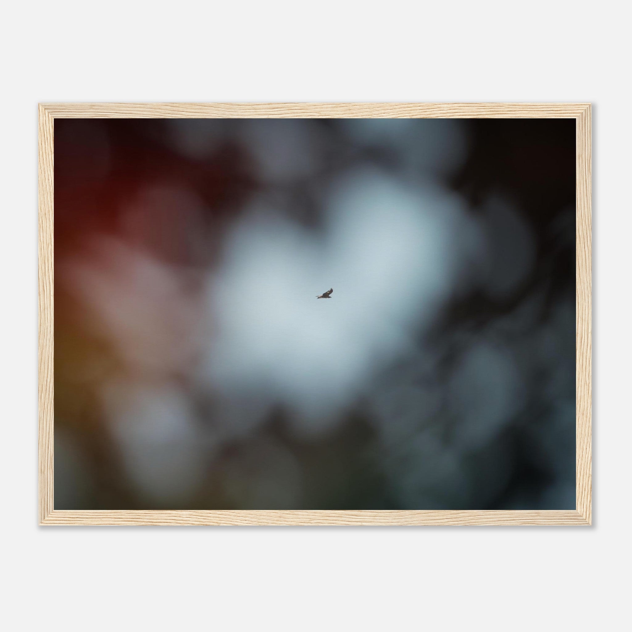 89de6222-6830-4160-87bd-9e841047f73a