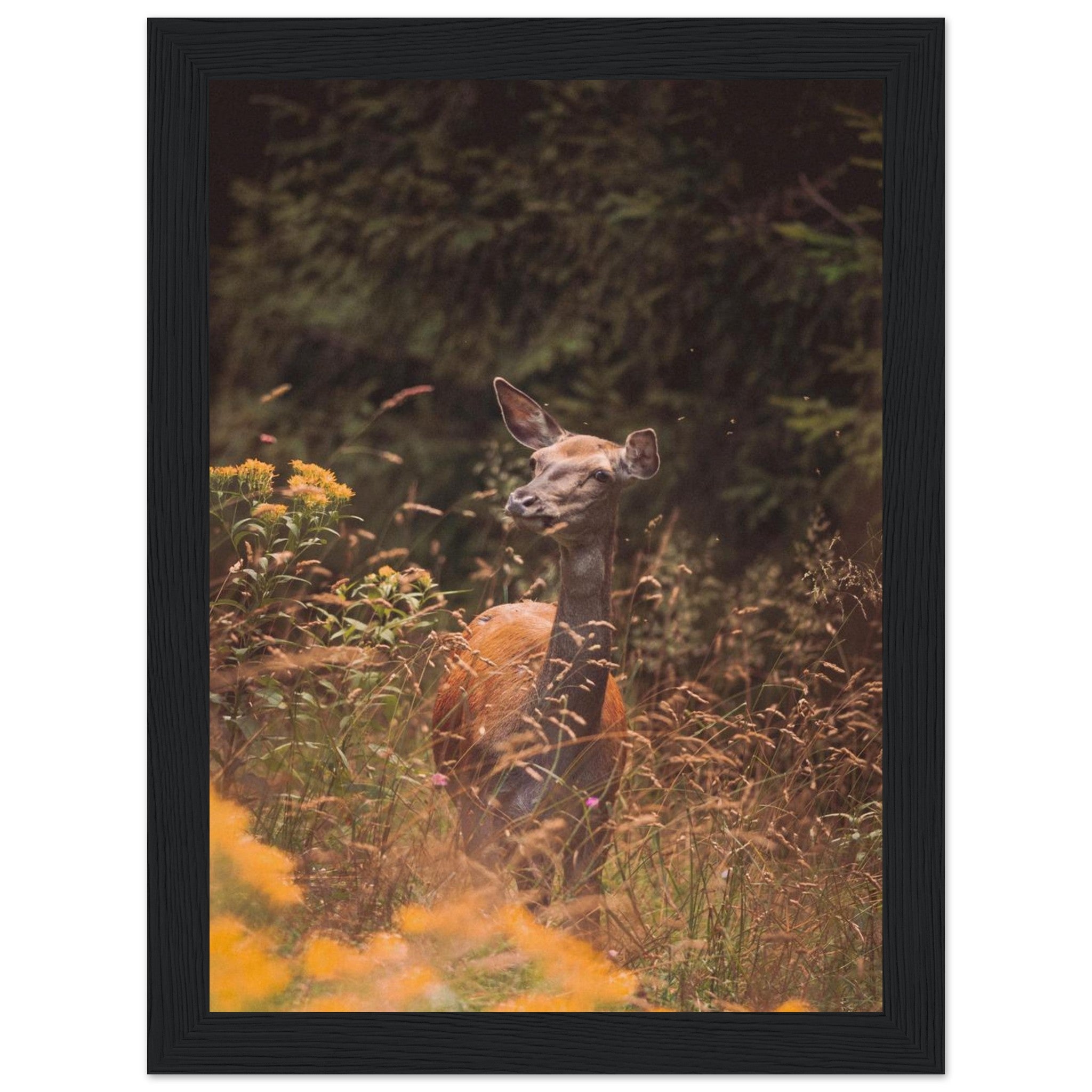 8a471580-95cd-4a02-a45c-fa2cb7fbf888