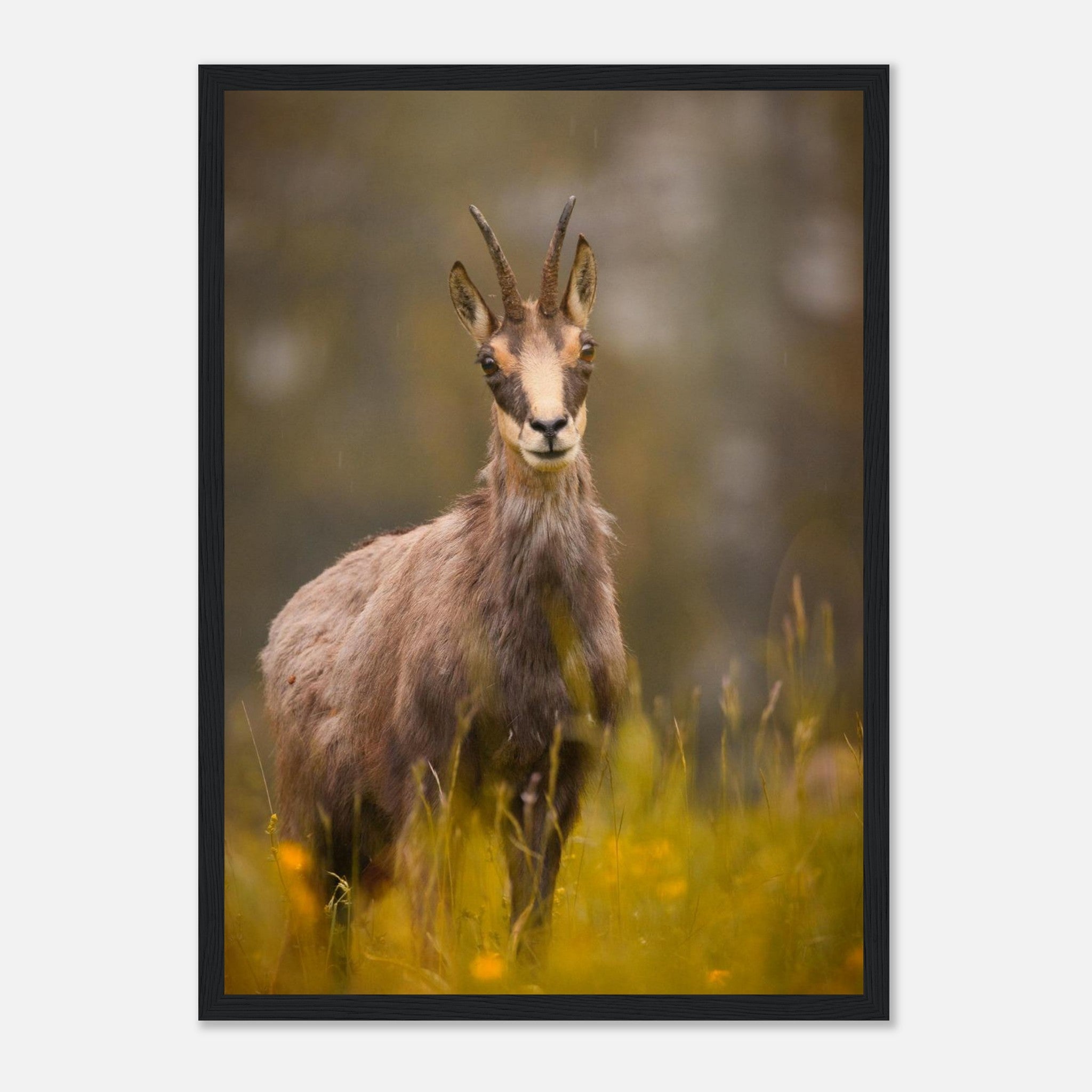 8a63d669-b79e-4821-8175-ab231f88e881