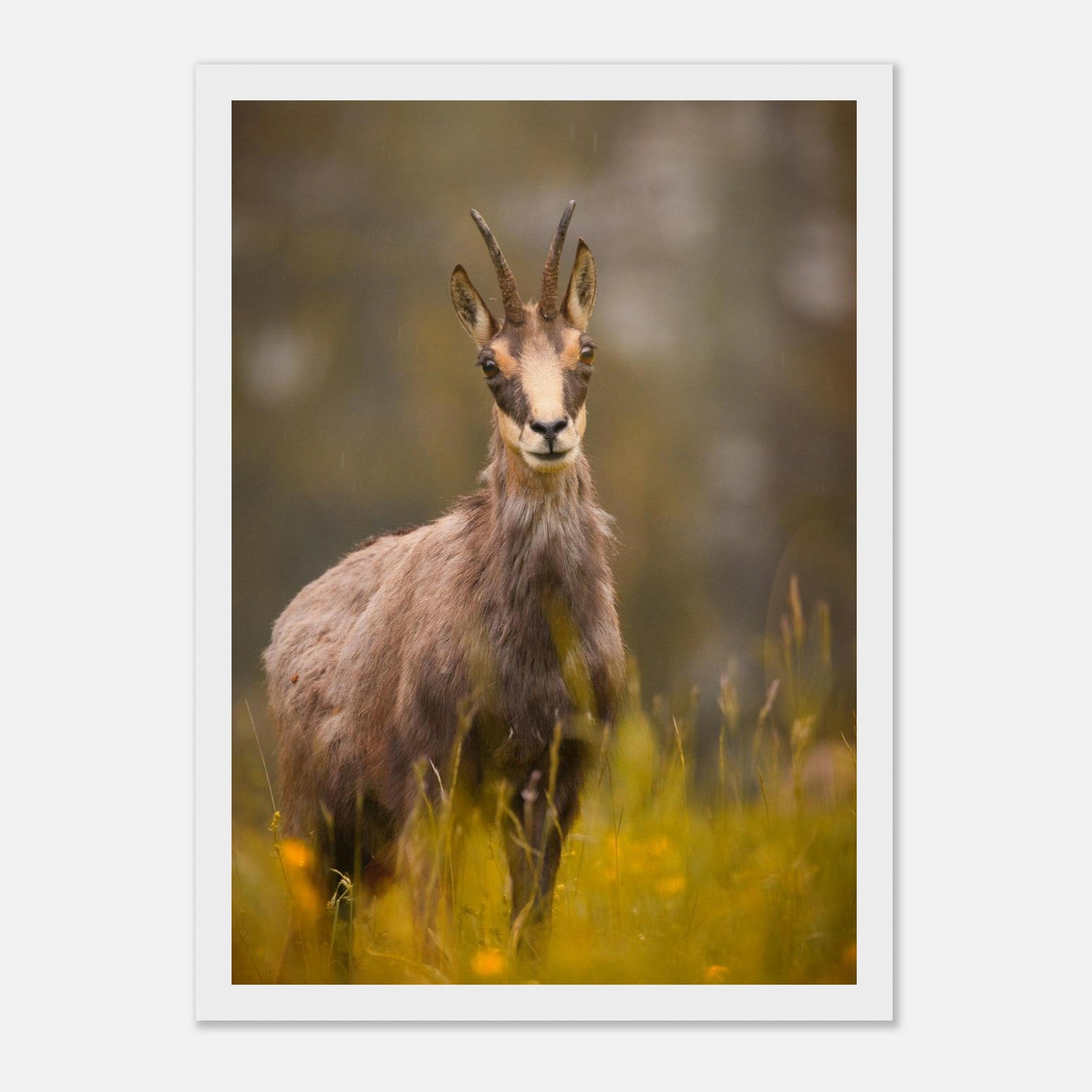 8c599712-7114-4a6c-a7f3-c00d3b489174