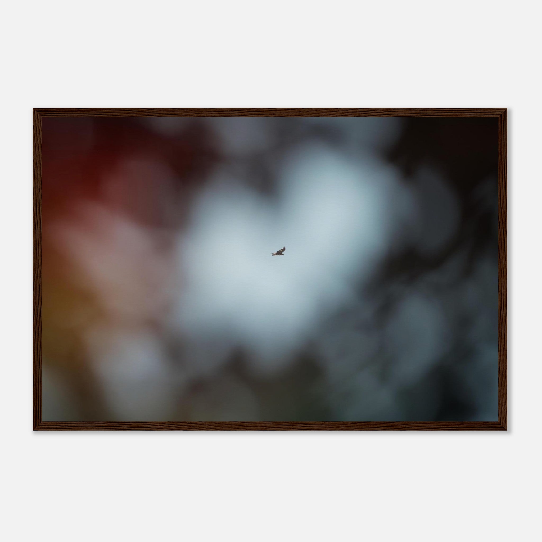 8c6db02a-7323-4f83-85cb-0cf7c3bd430d